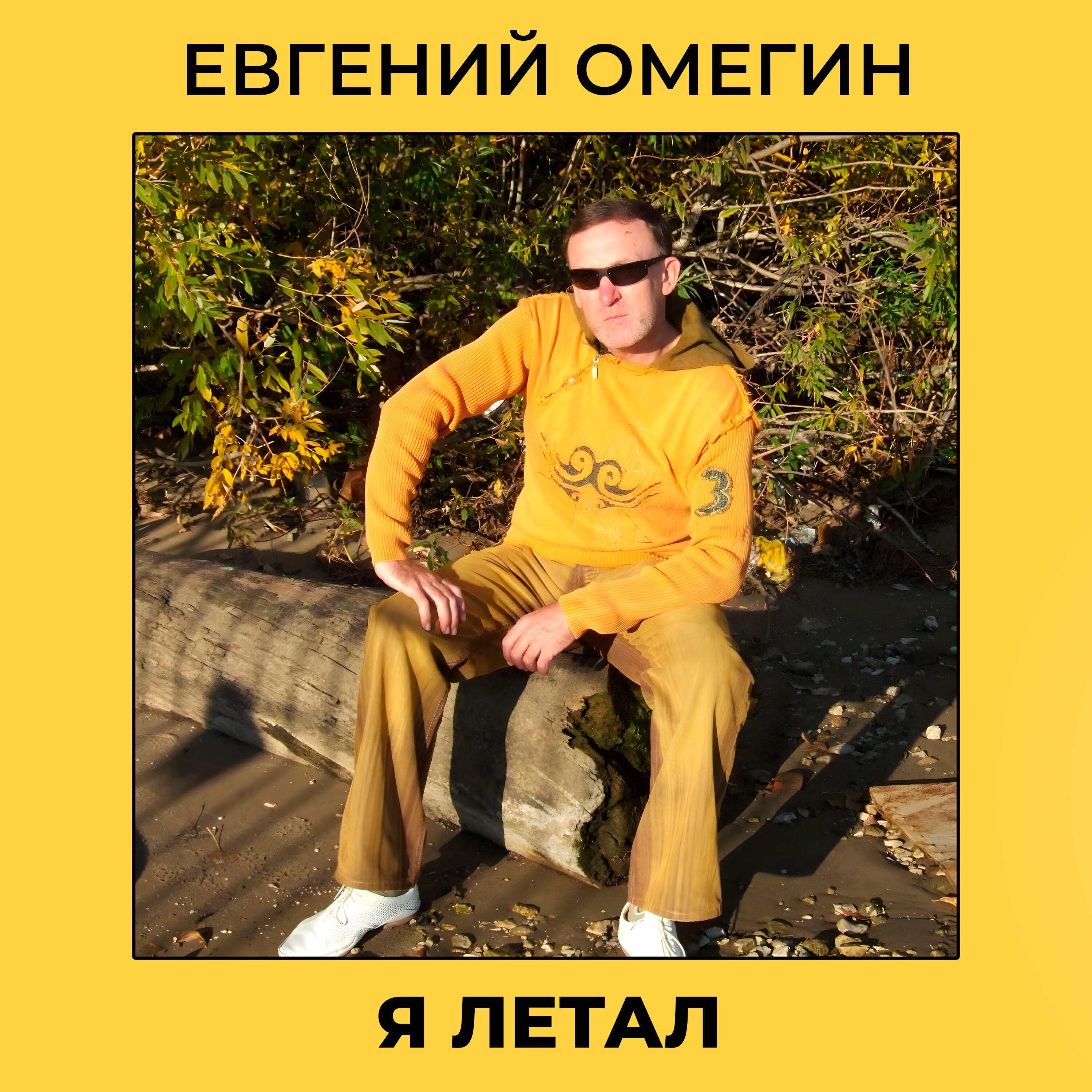 Постер альбома Я летал