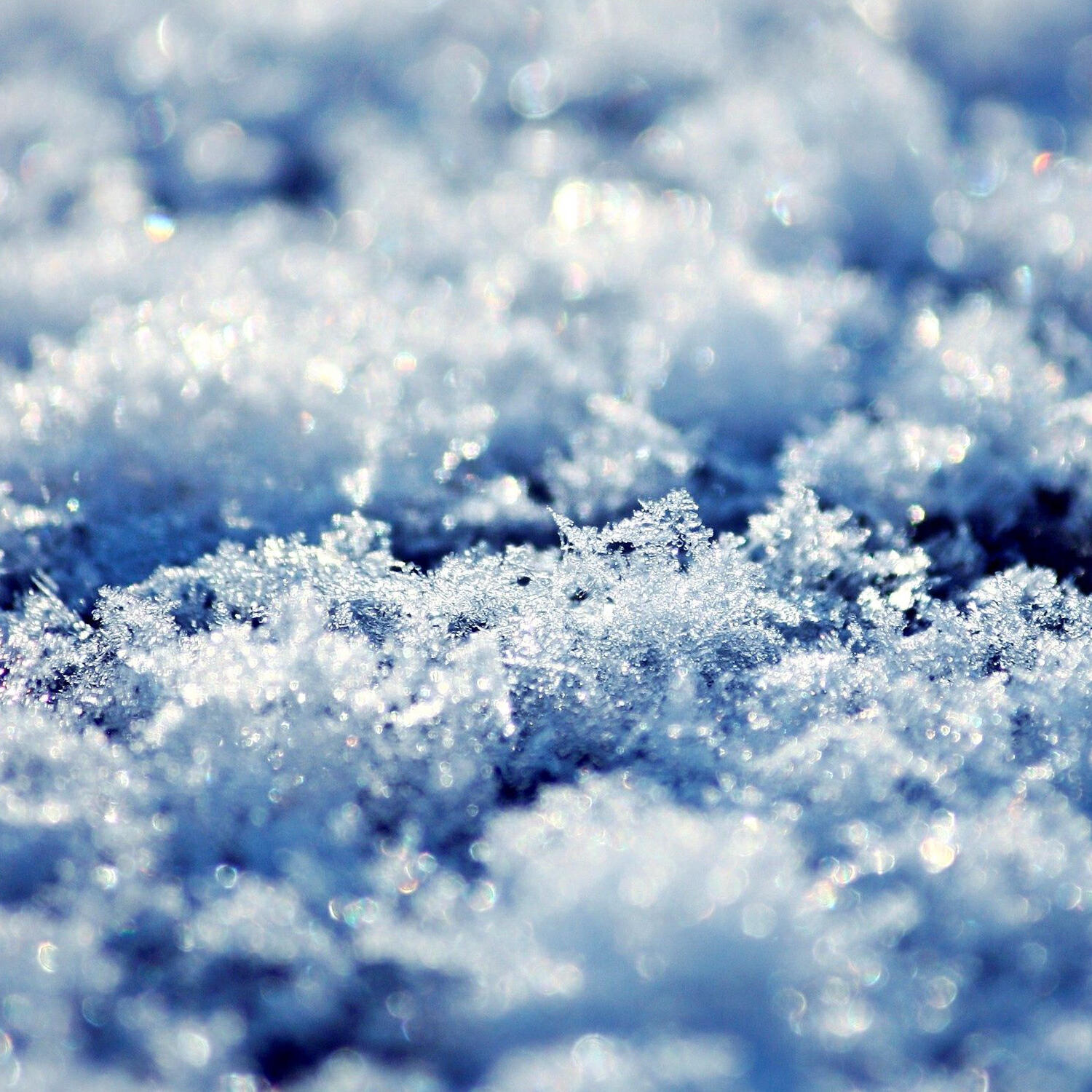 Релиз Snow Is Falling Slowly