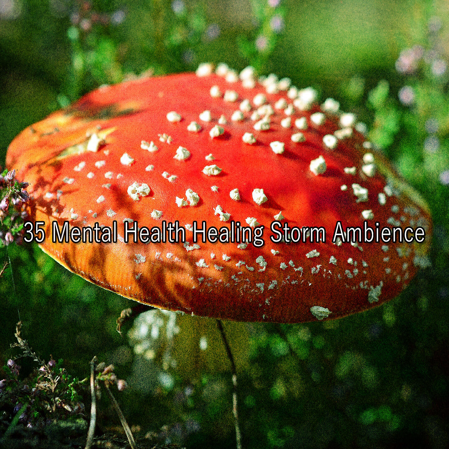 Релиз 35 Mental Health Healing Storm Ambience