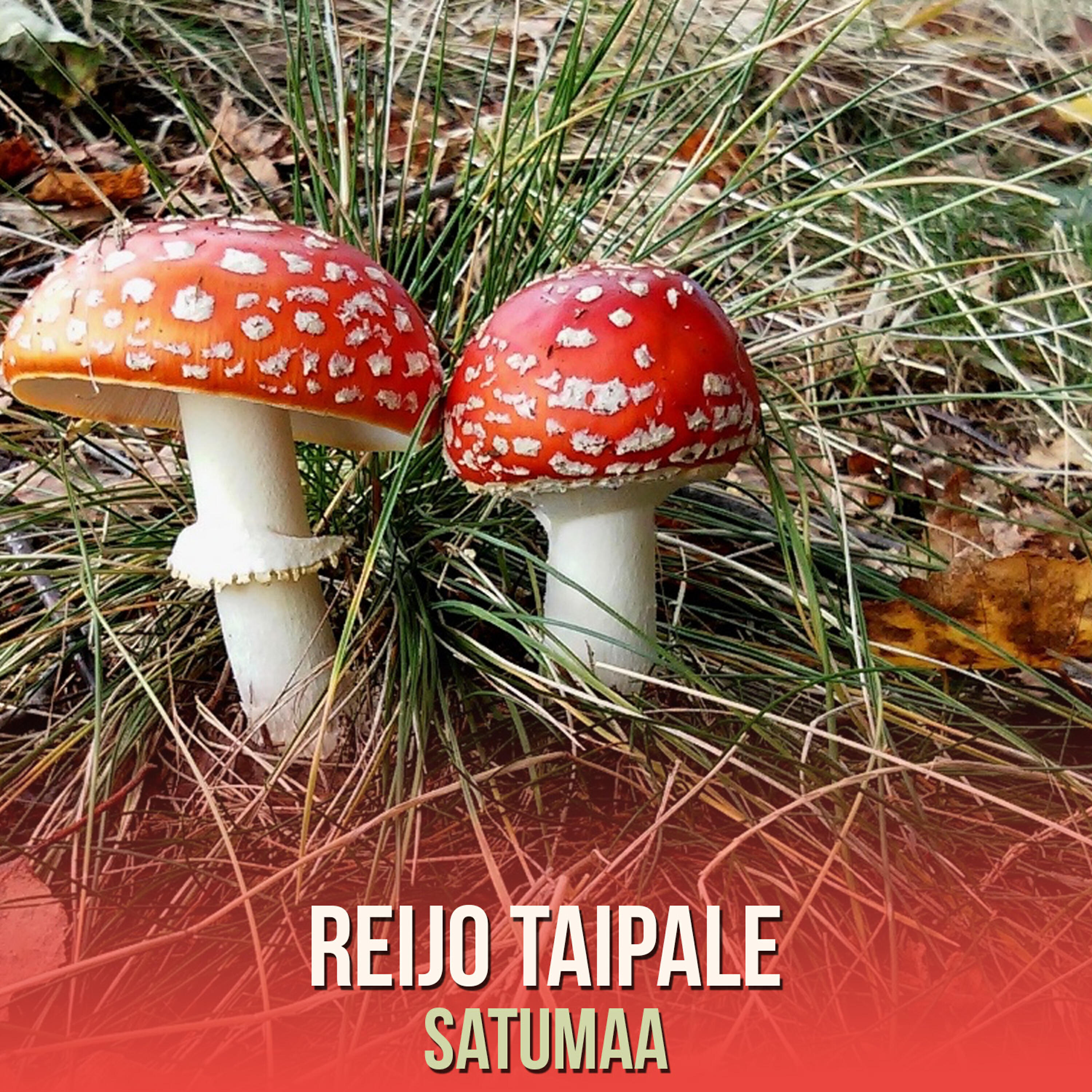 Релиз Satumaa