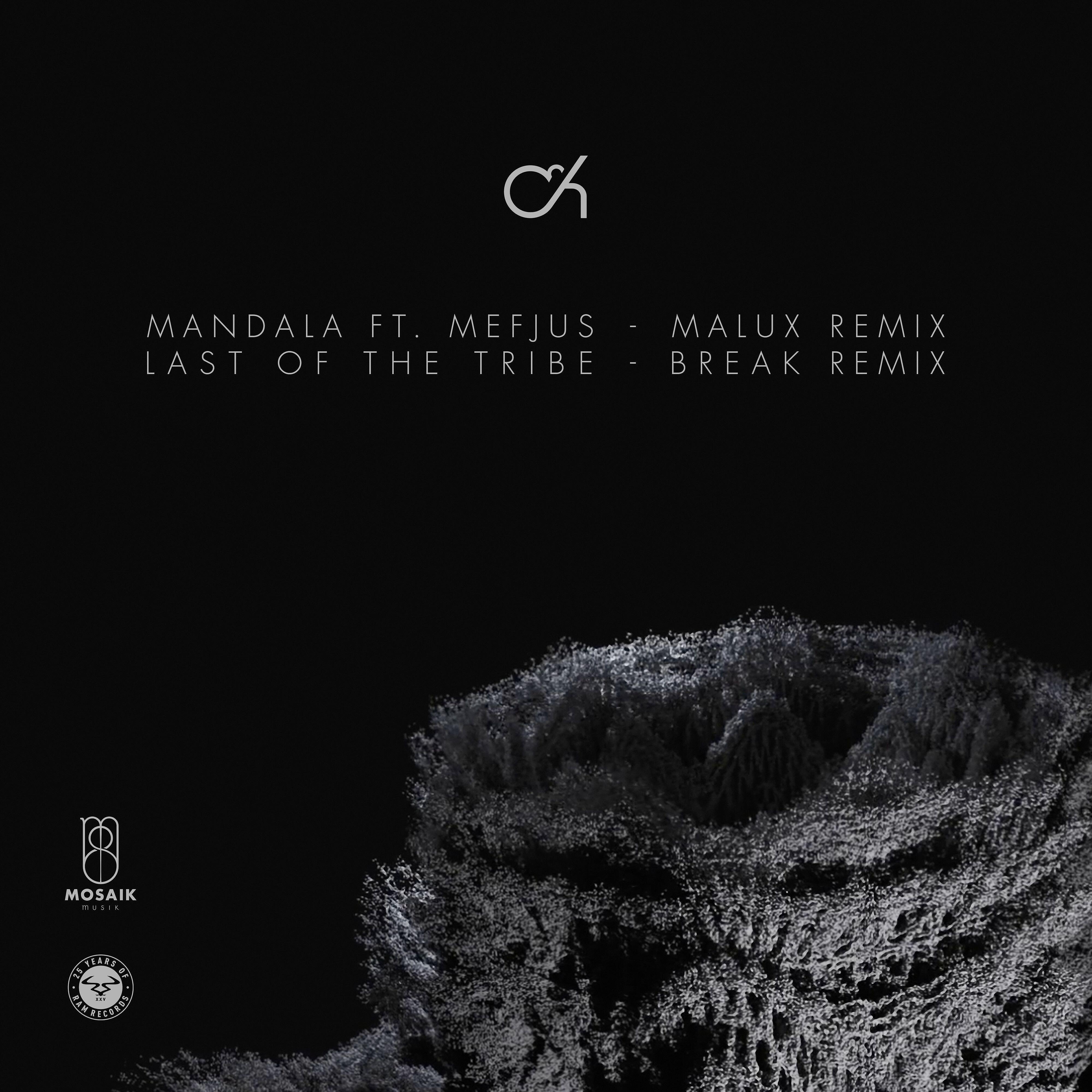 Релиз Mandala (Malux Remix) / Last of the Tribe (Break Remix)