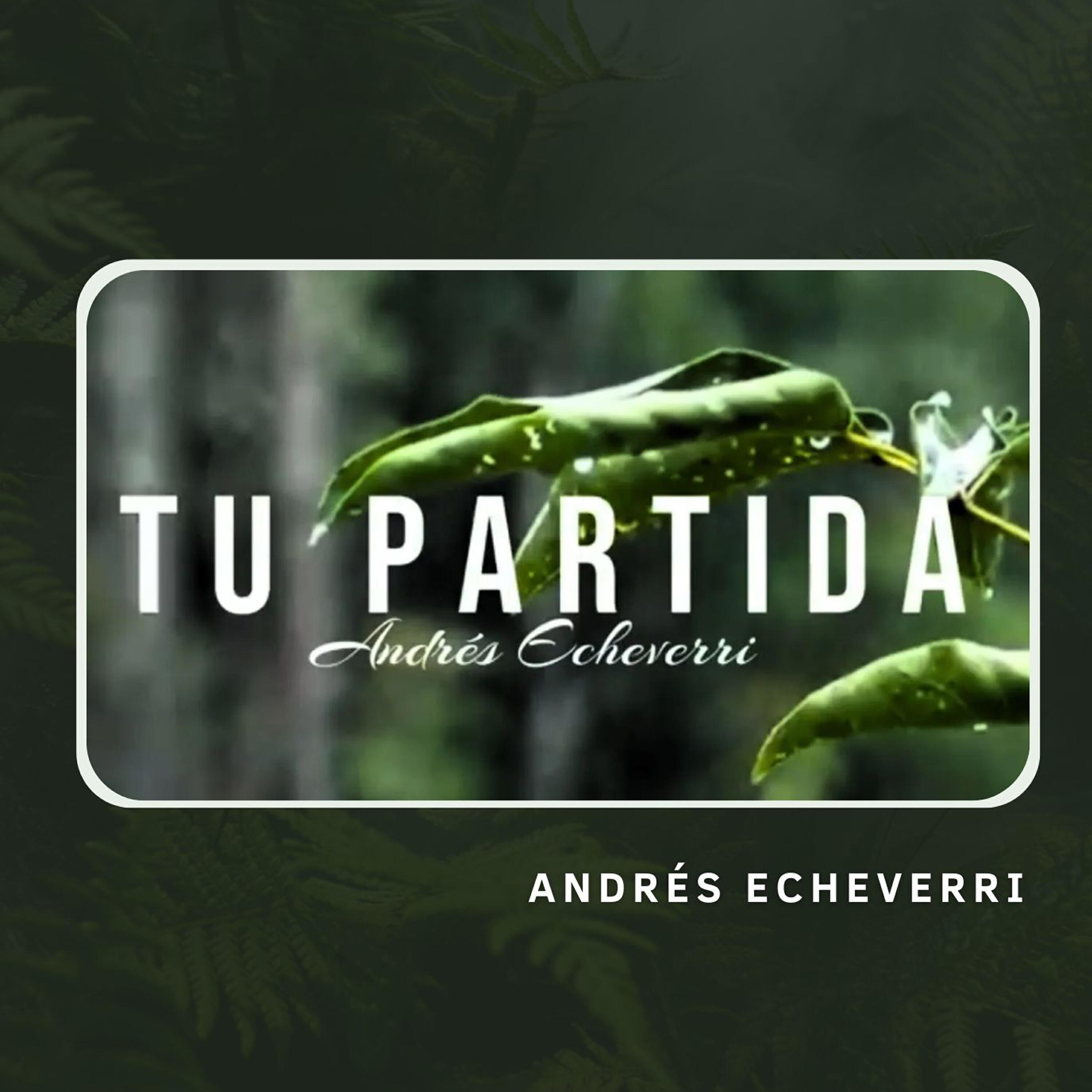 Релиз Tu Partida
