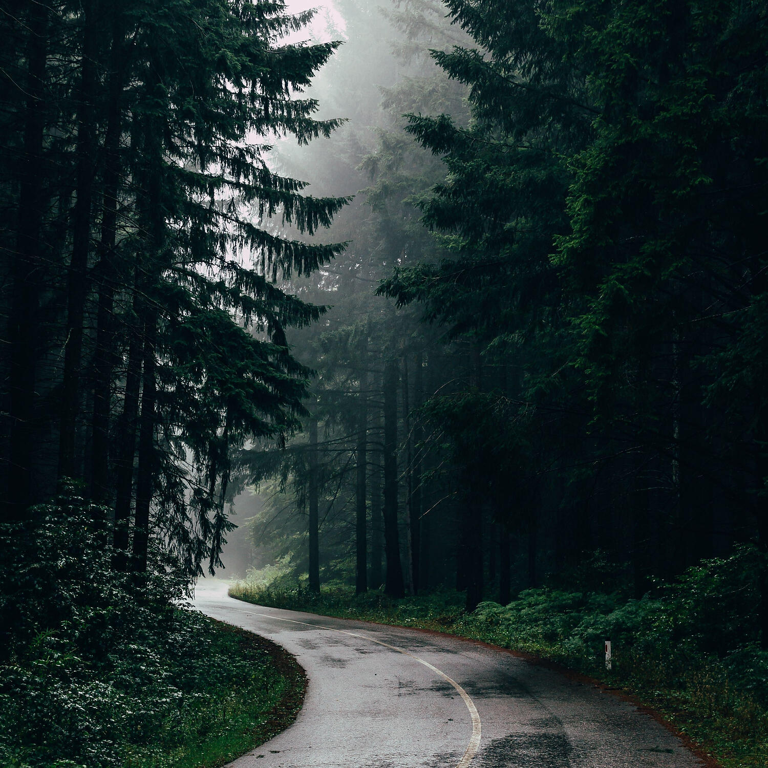 Релиз Nature Sounds Sleep Music, Session 2