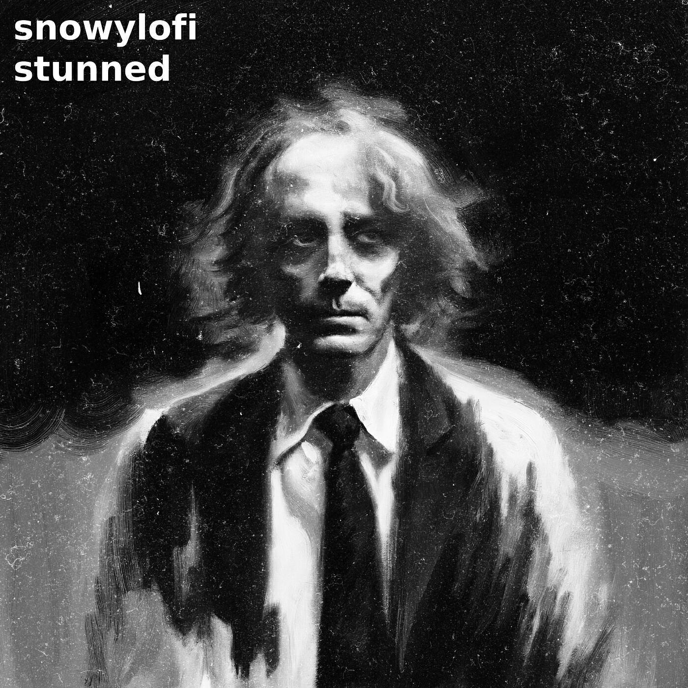 SnowyLofi