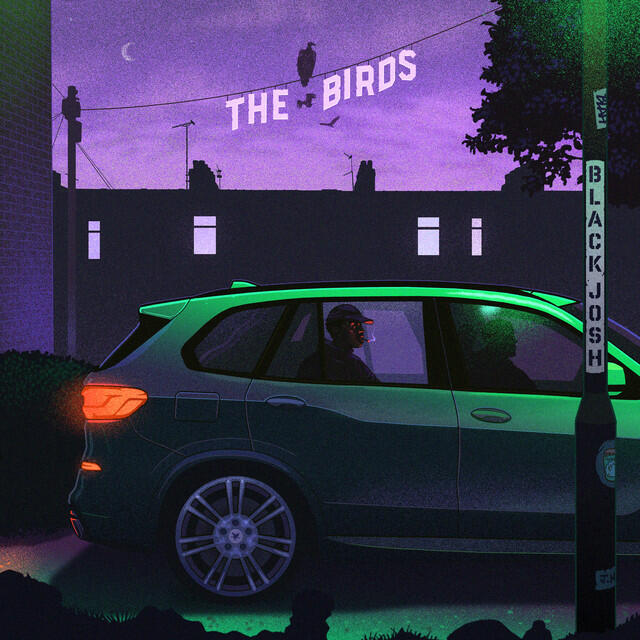 Релиз THE BIRDS
