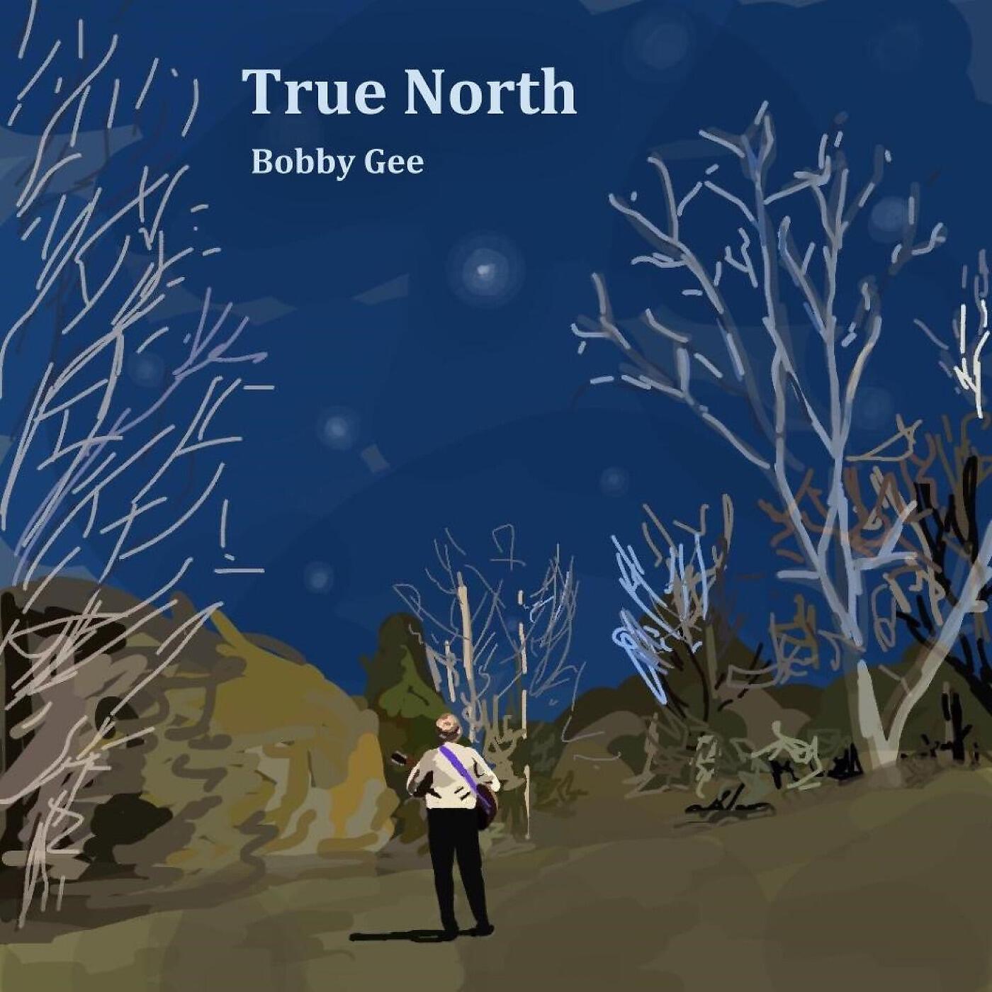 Релиз True North