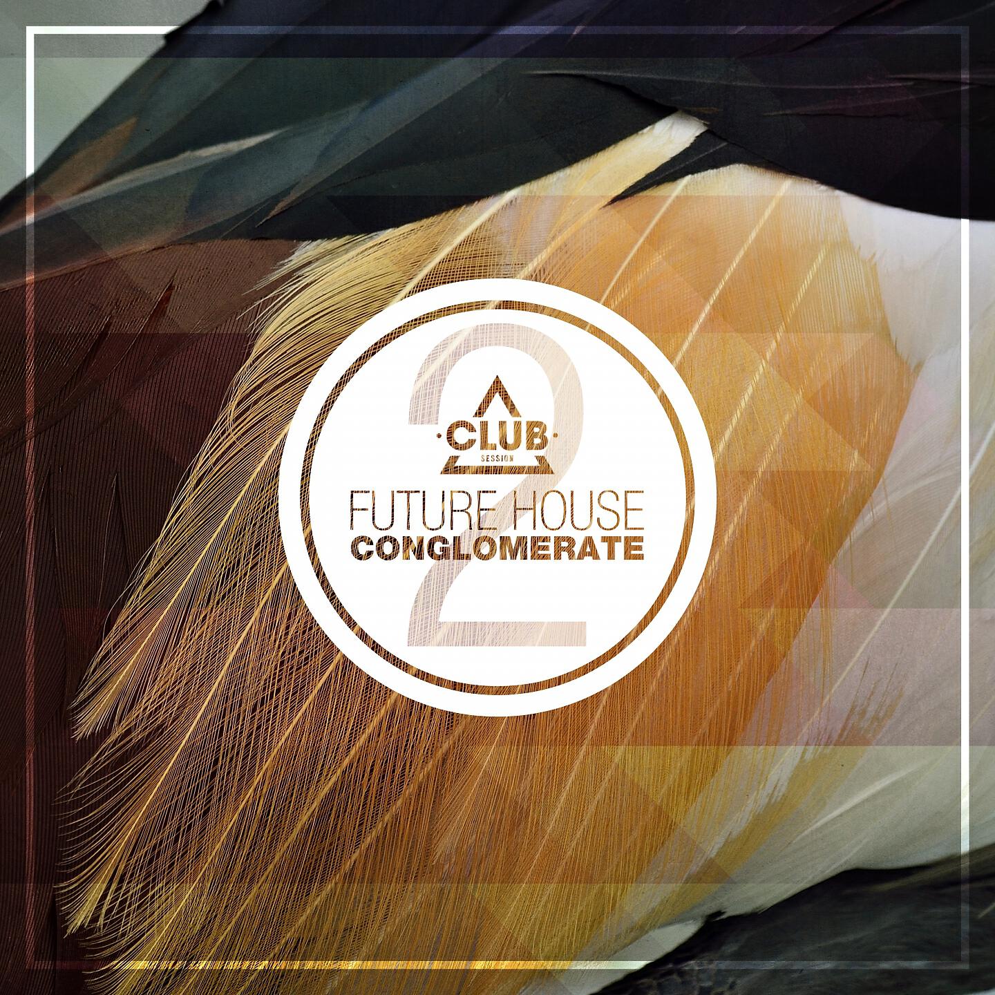 Релиз Future House Conglomerate, Vol. 2