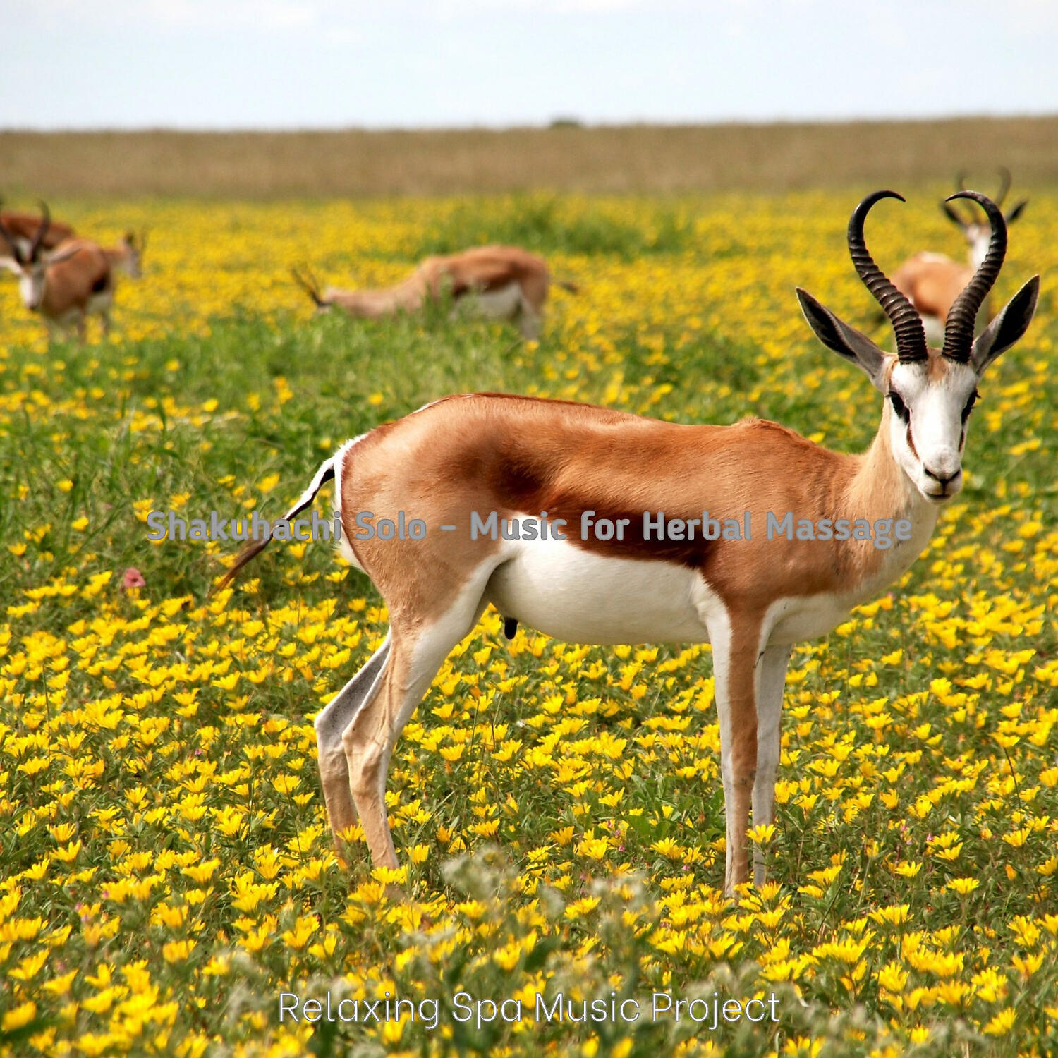 Трек Lively Backdrops for Herbal Massage