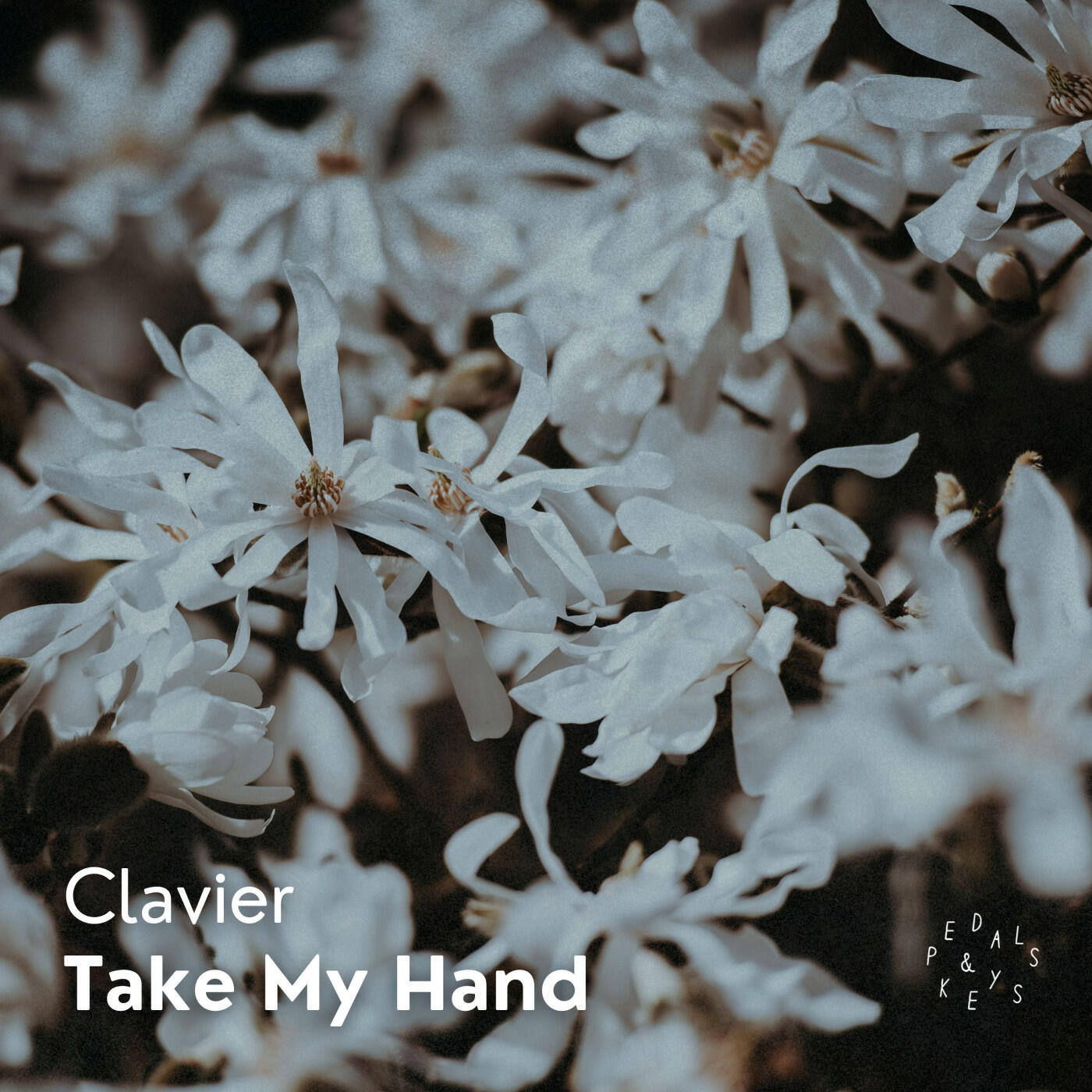 Релиз Take My Hand (Piano Version)