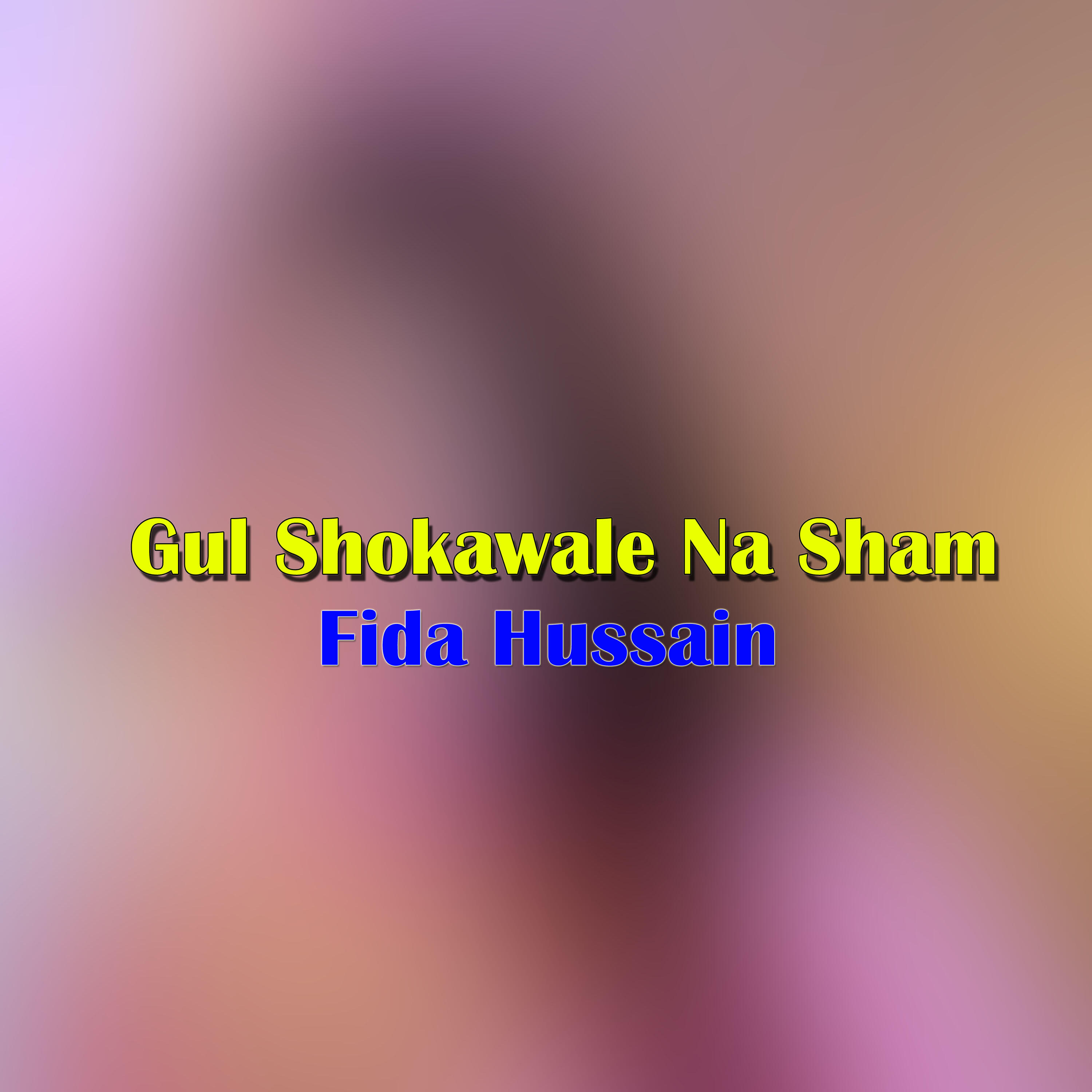 Fida Hussain