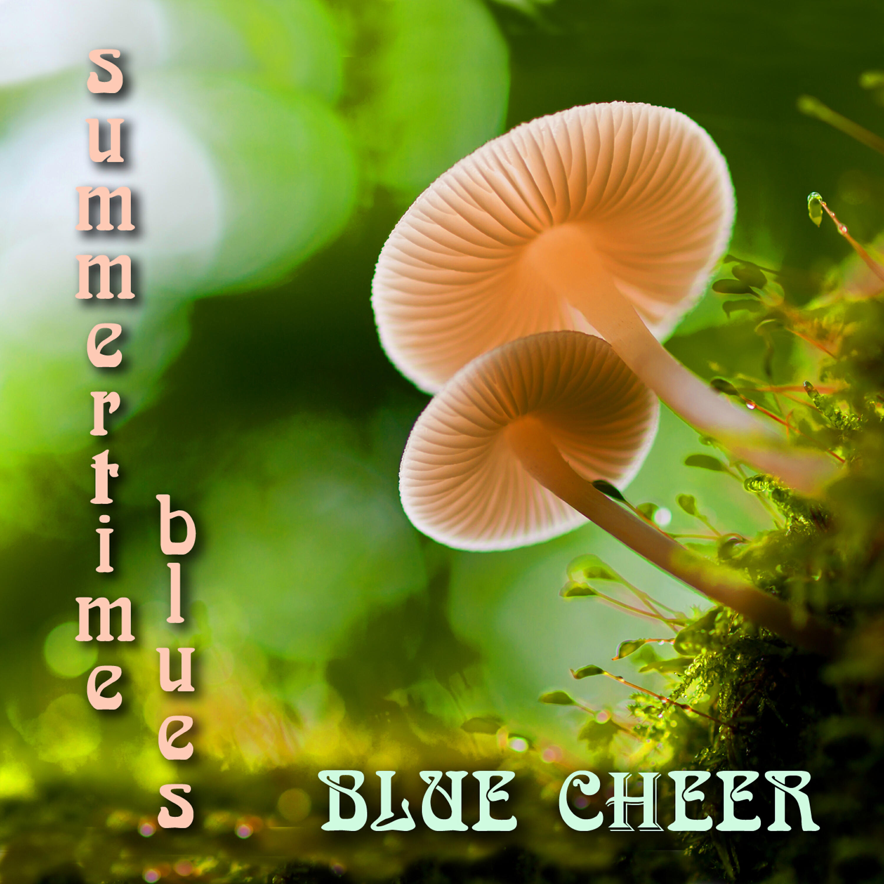 Релиз Summertime Blues