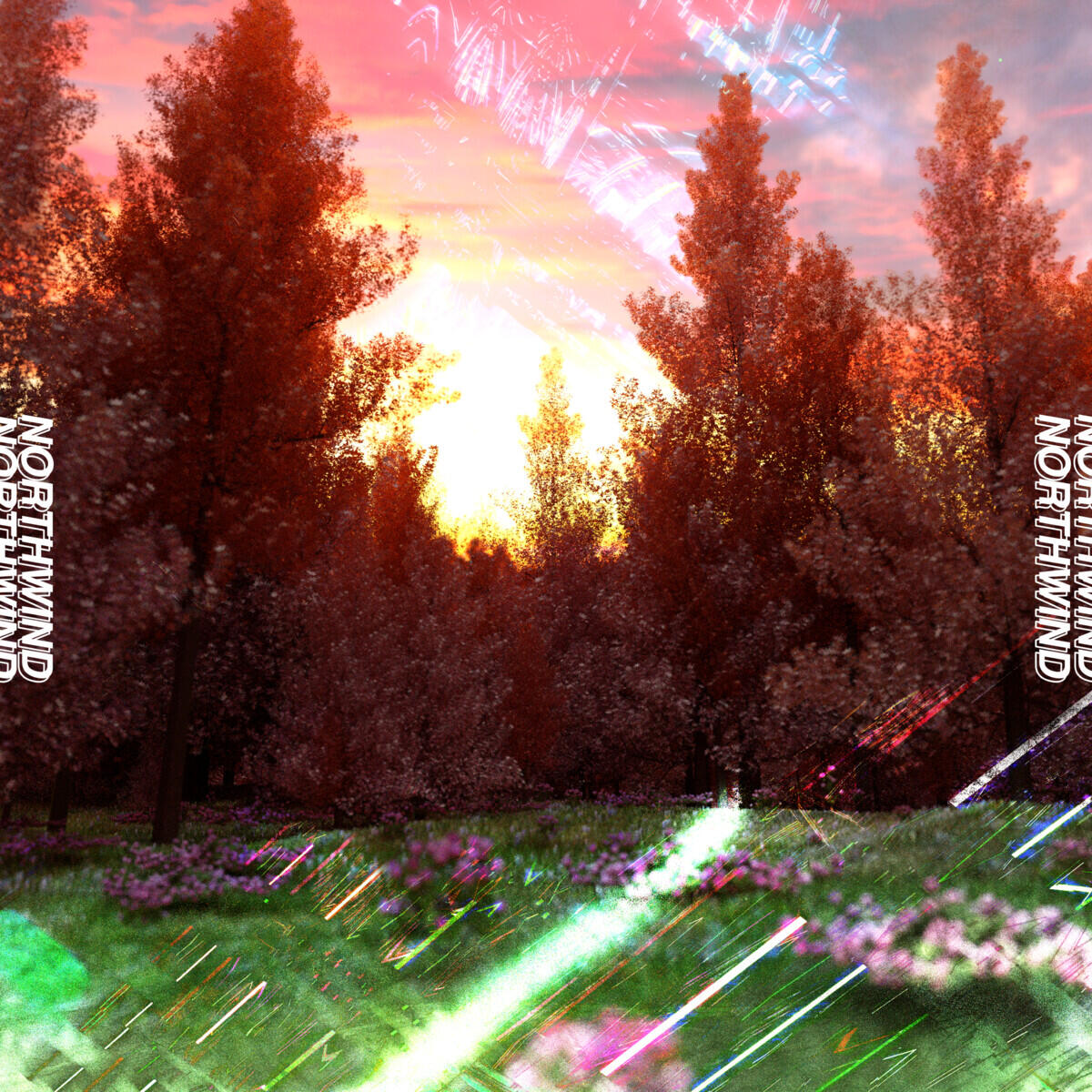 Релиз Northwind