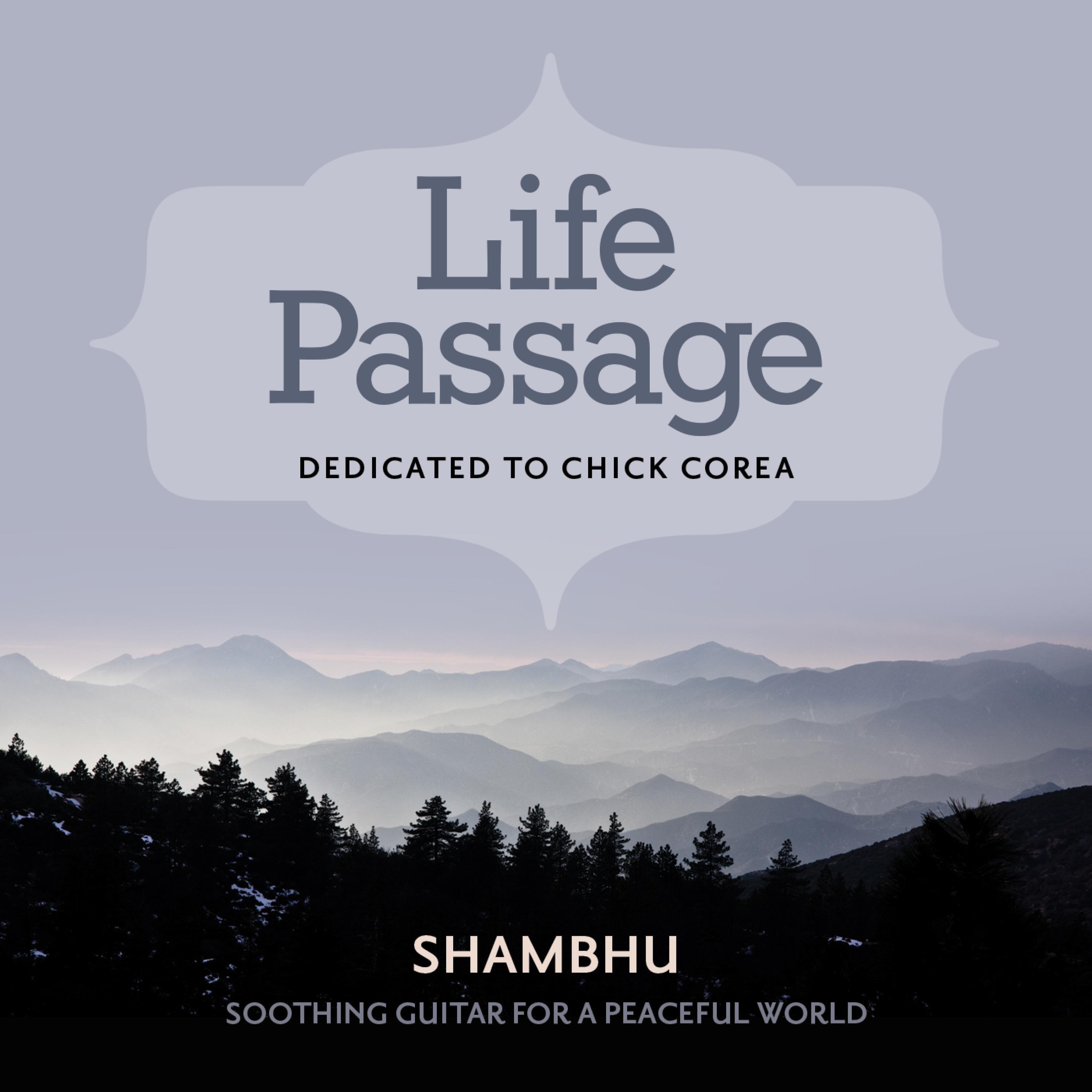 Релиз Life Passage