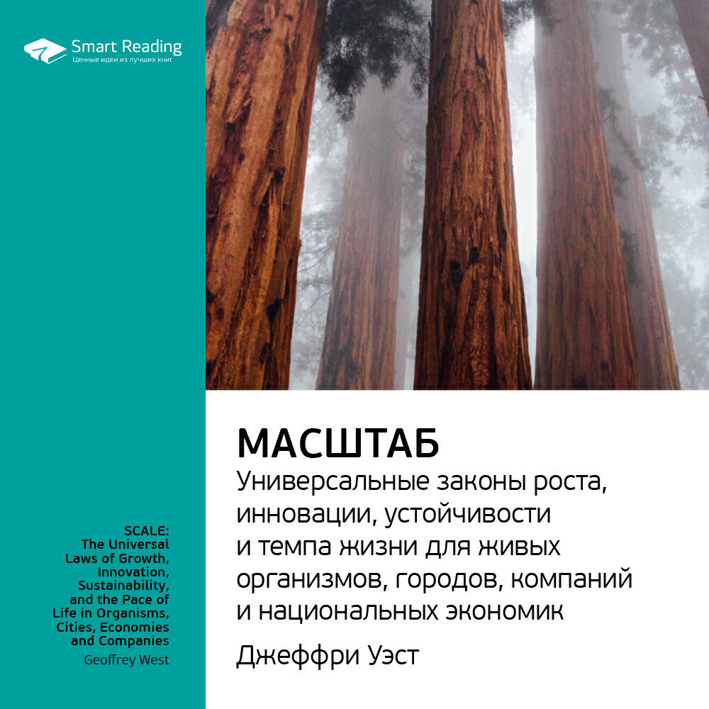 Книга Масштаб: универсальные законы роста, инновации, устойчивости и темпа жизни для живых организмов, городов, компаний и национальных экономик. Джеффри Уэст. Ключевые идеи книги