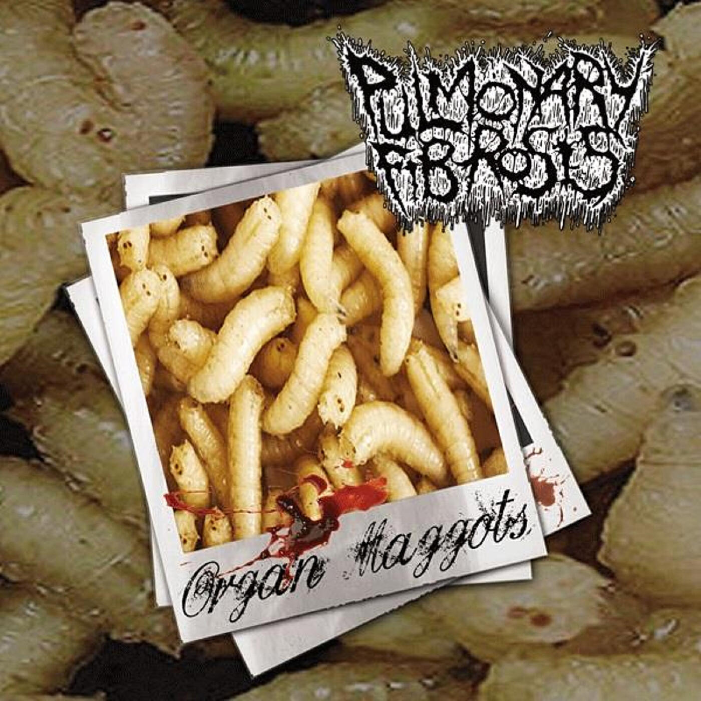 Релиз Organ Maggots