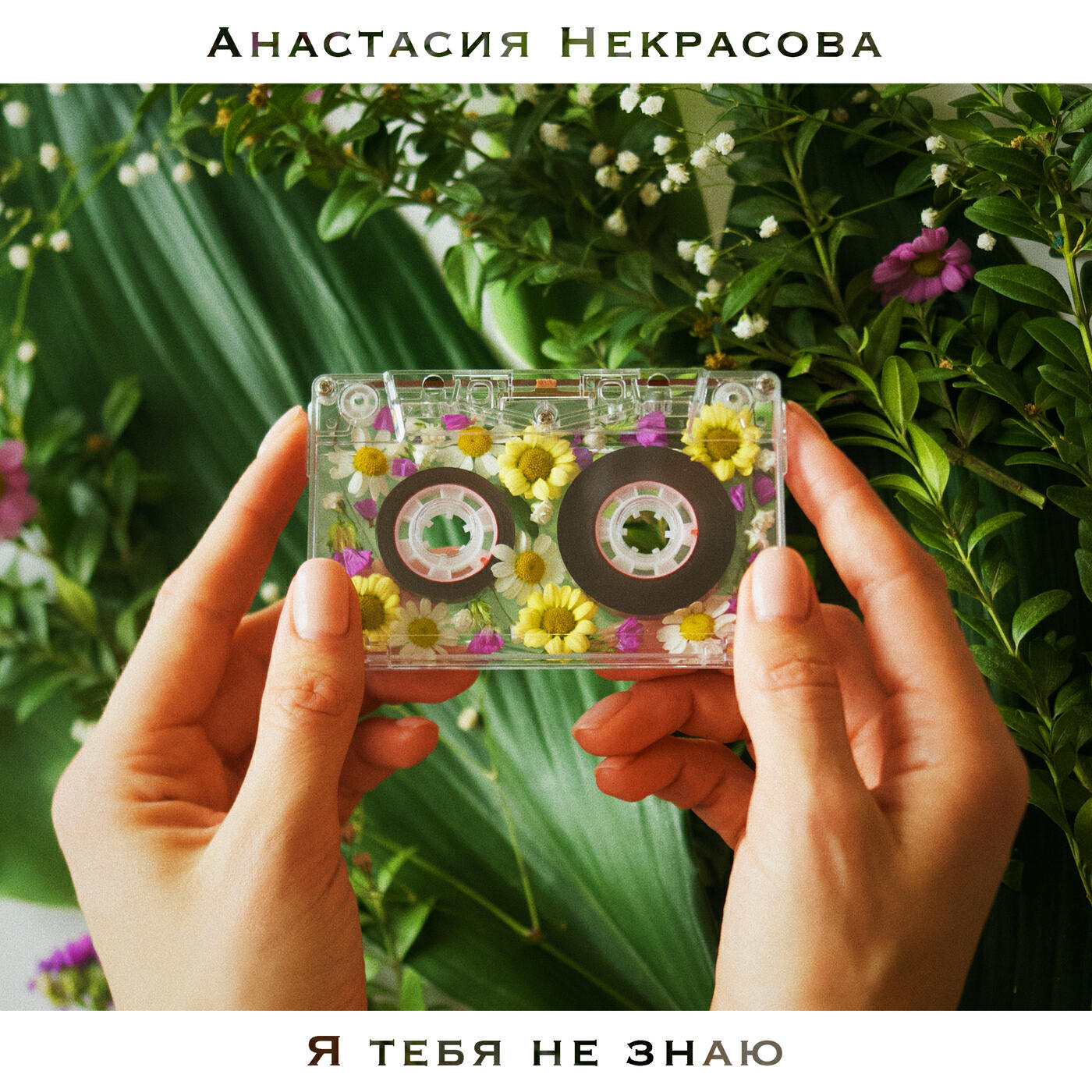 Релиз Я тебя не знаю