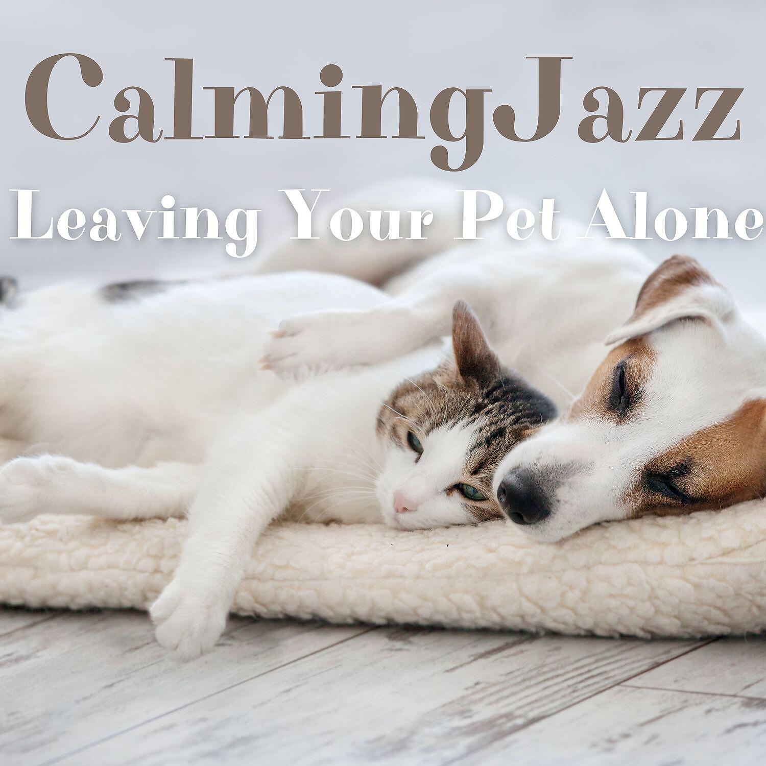 Релиз Leaving Your Pet Alone - Calming Jazz