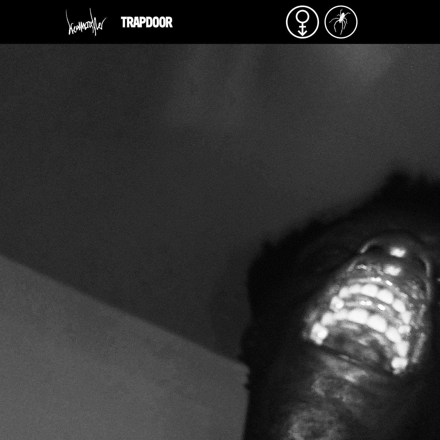 Релиз Trapdoor