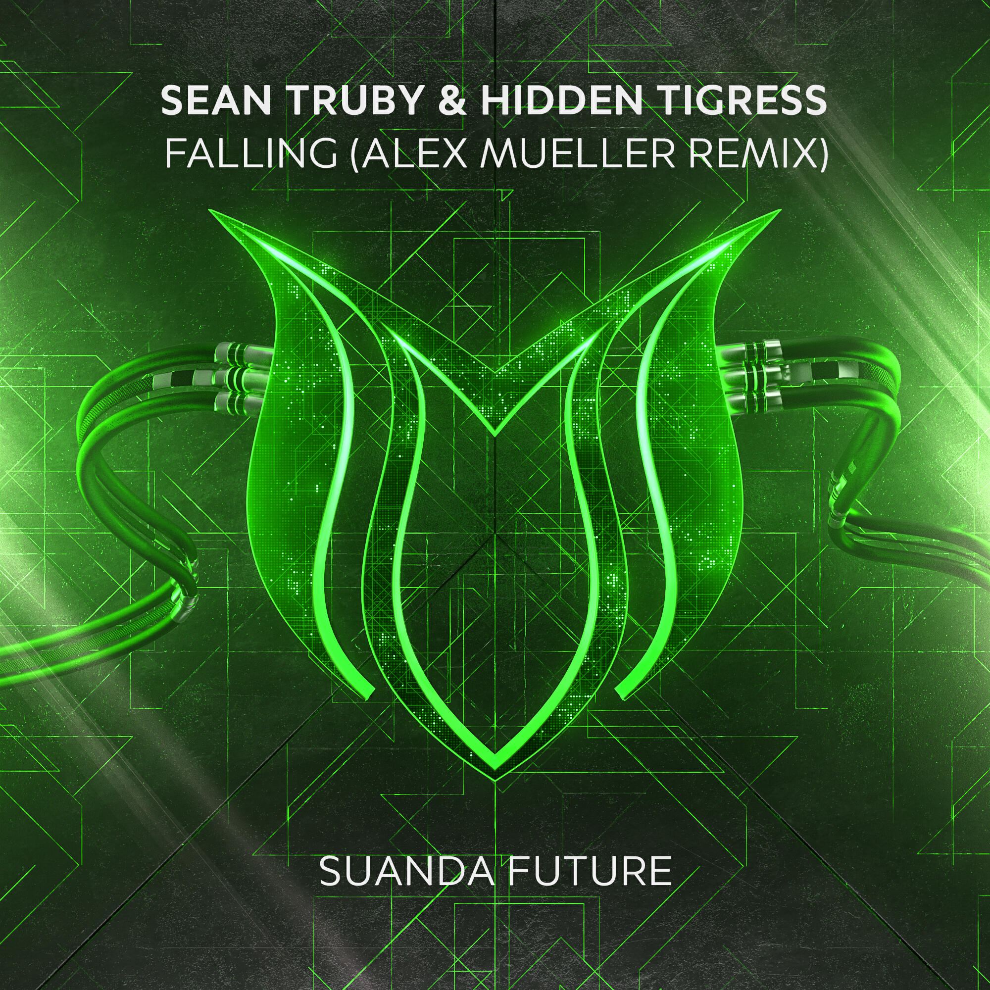 Релиз Falling (Alex Mueller Remix)