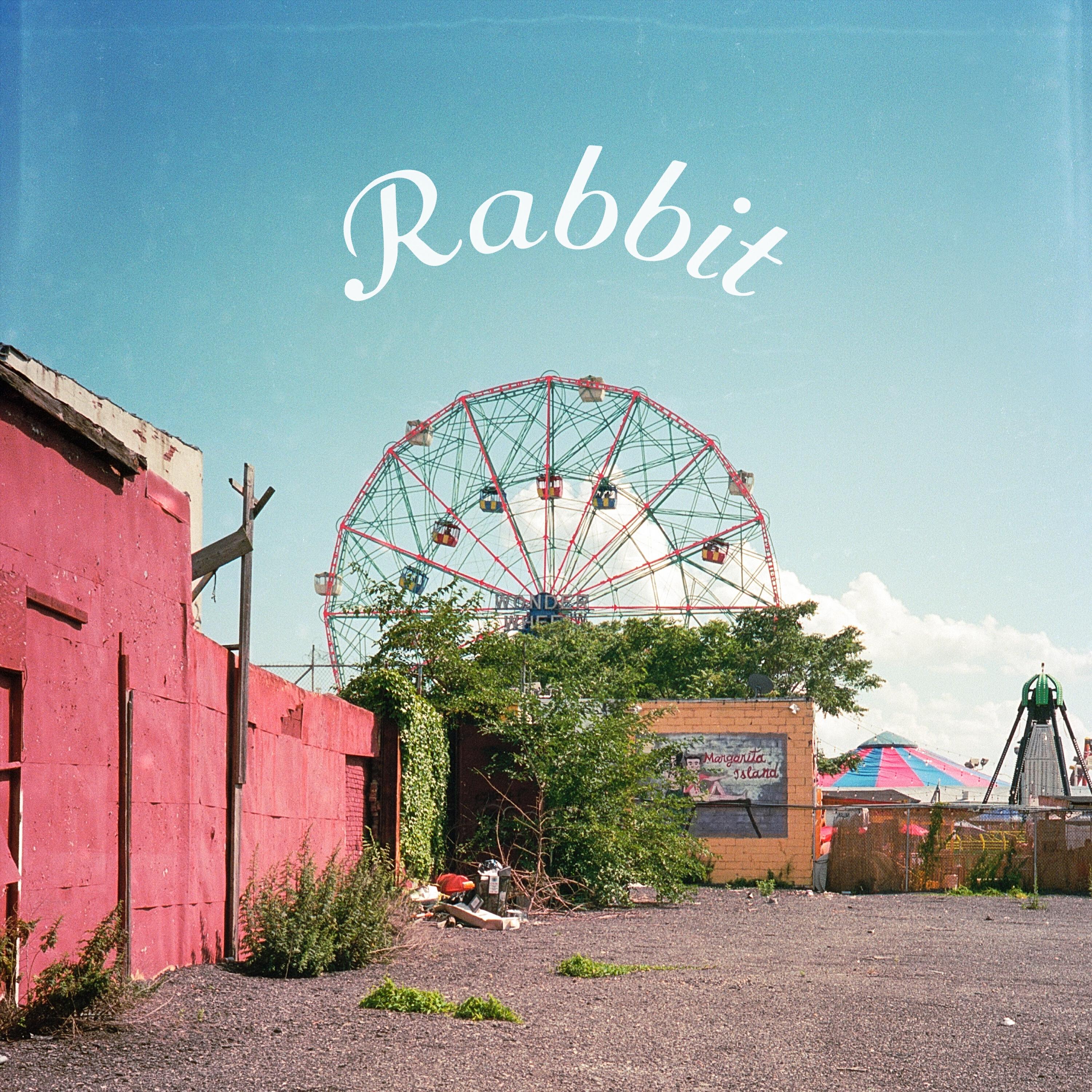 Релиз Rabbit