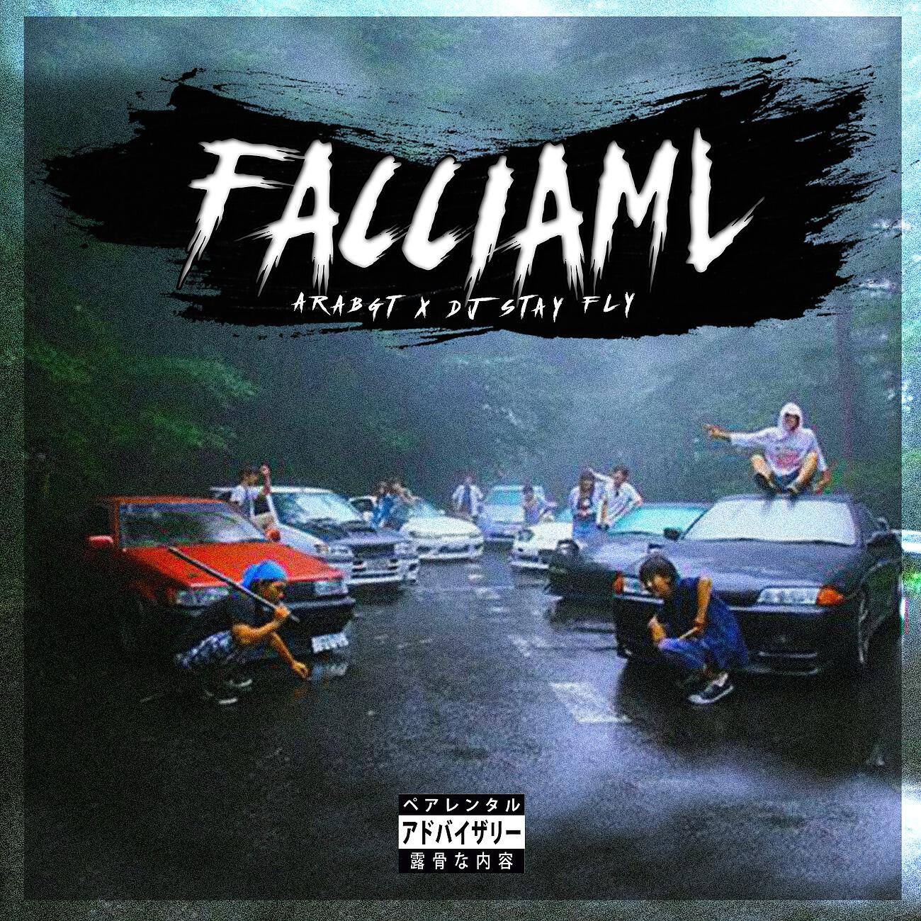 Релиз FACCIAML