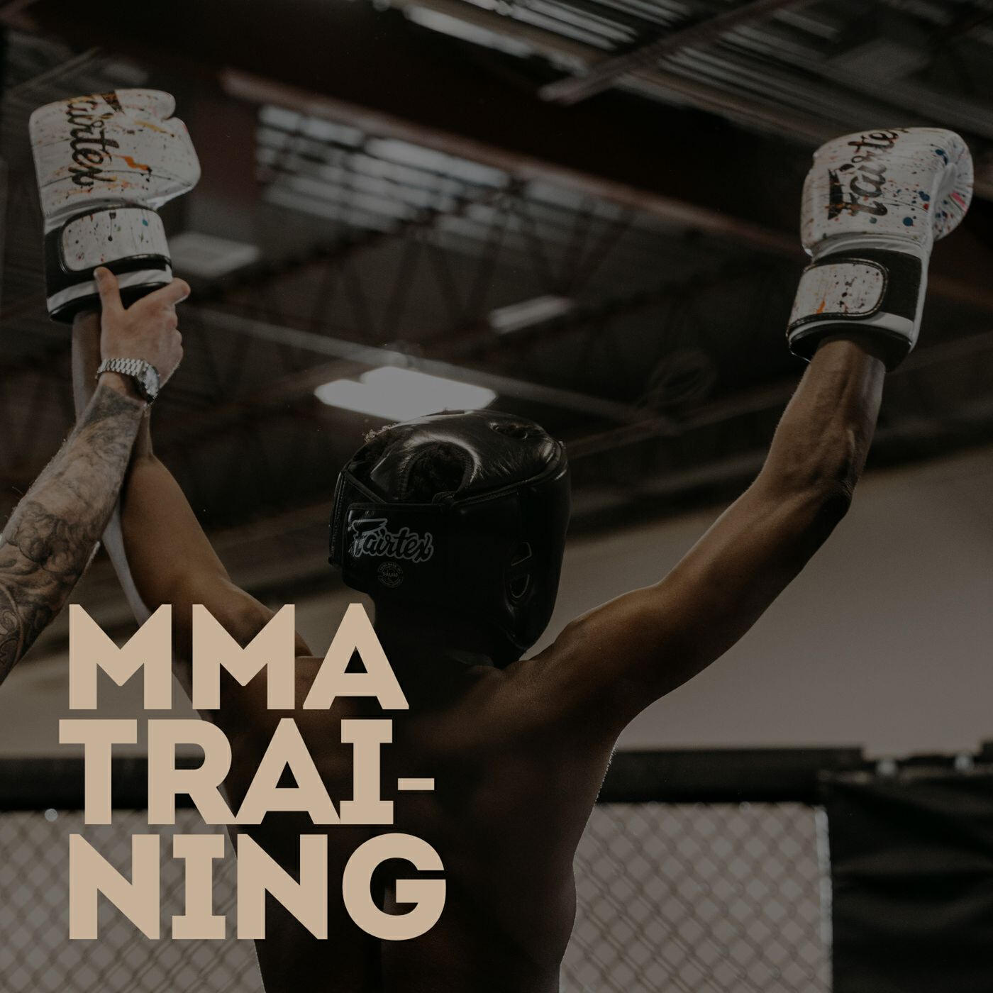 Релиз MMA Training