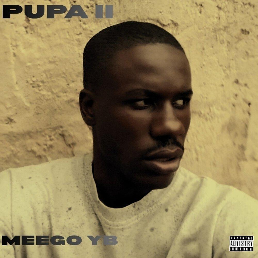 MEEGO YB