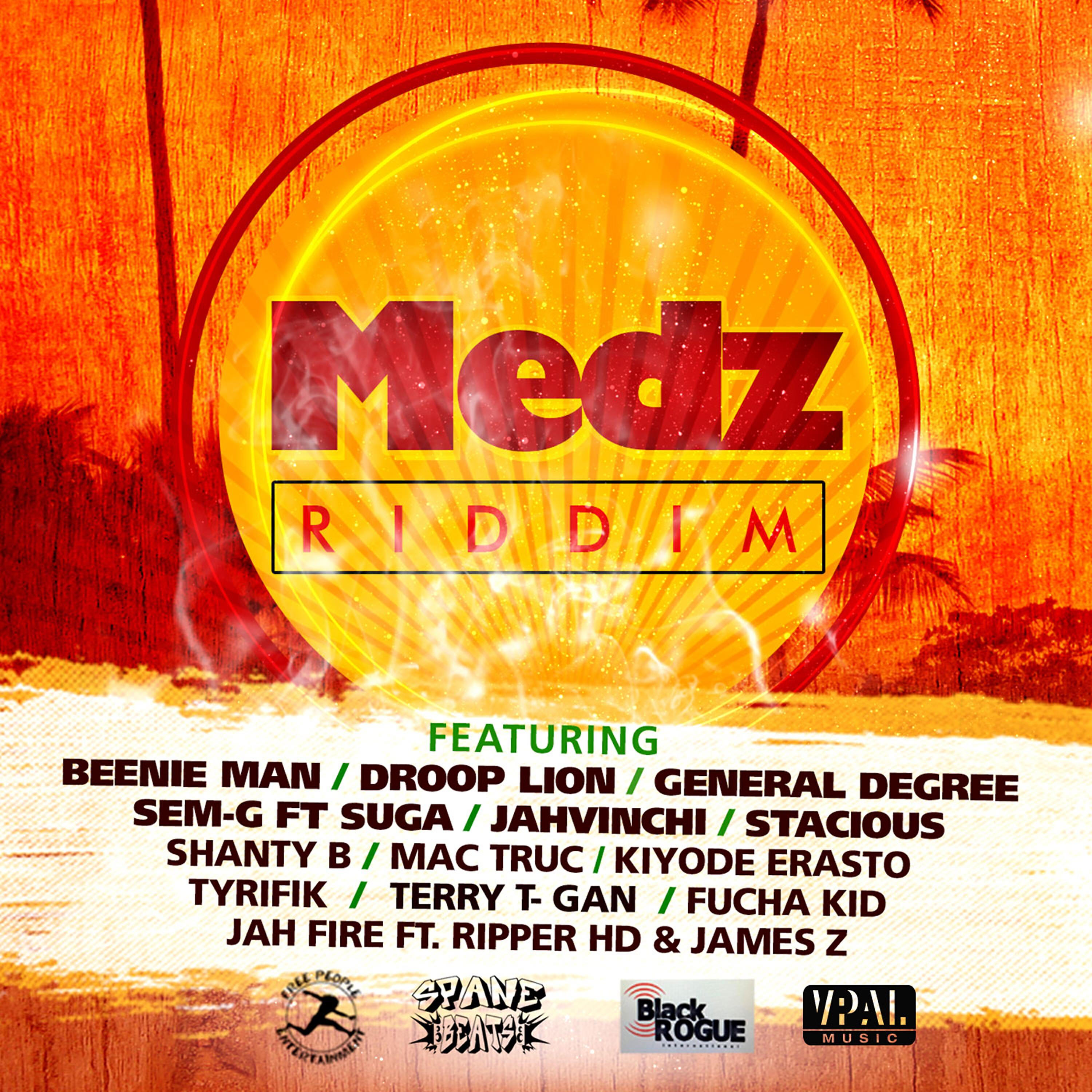 Релиз Medz Riddim