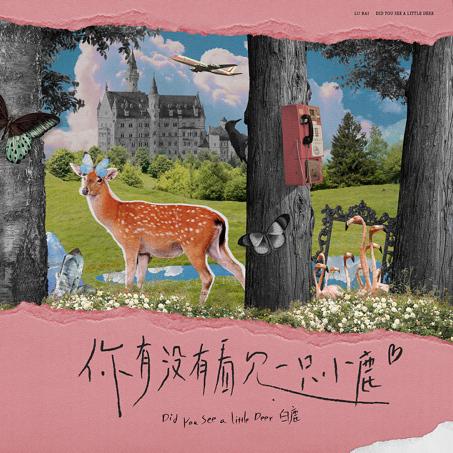 Релиз 你有没有看见一只小鹿