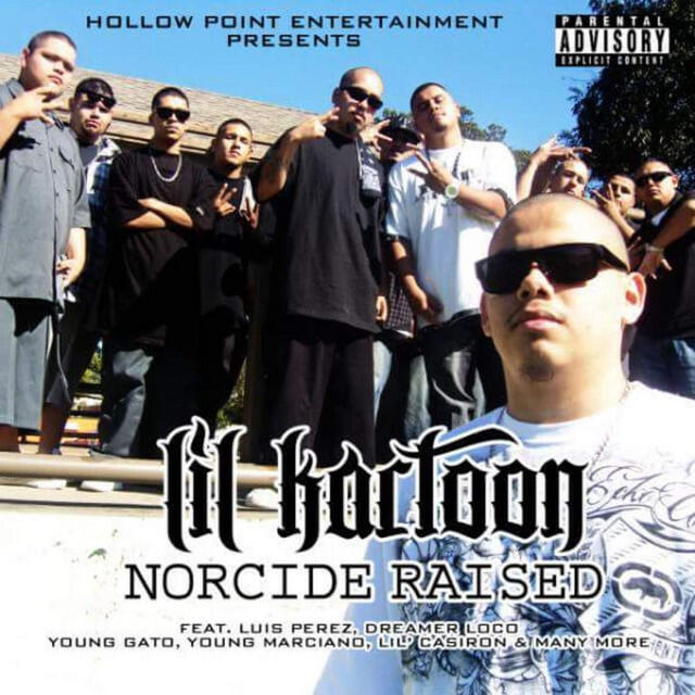 Релиз Norcide Raised