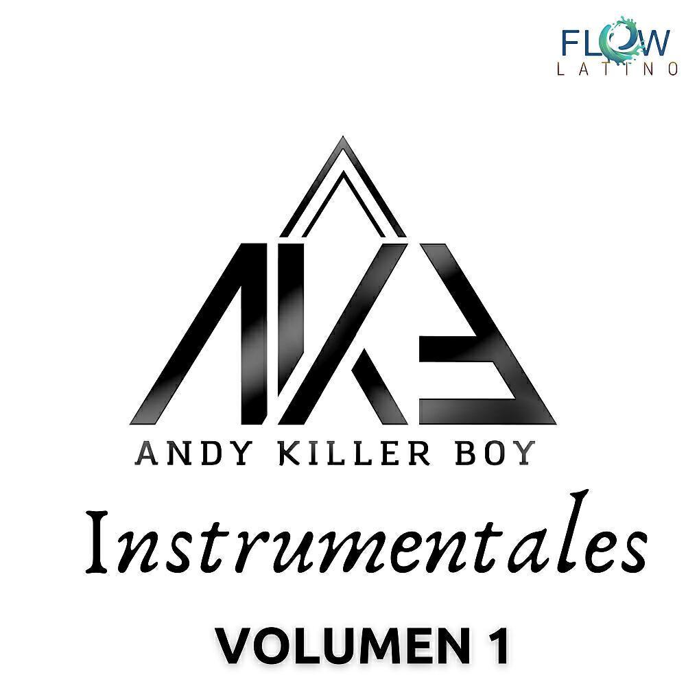 Andy Killer Boy