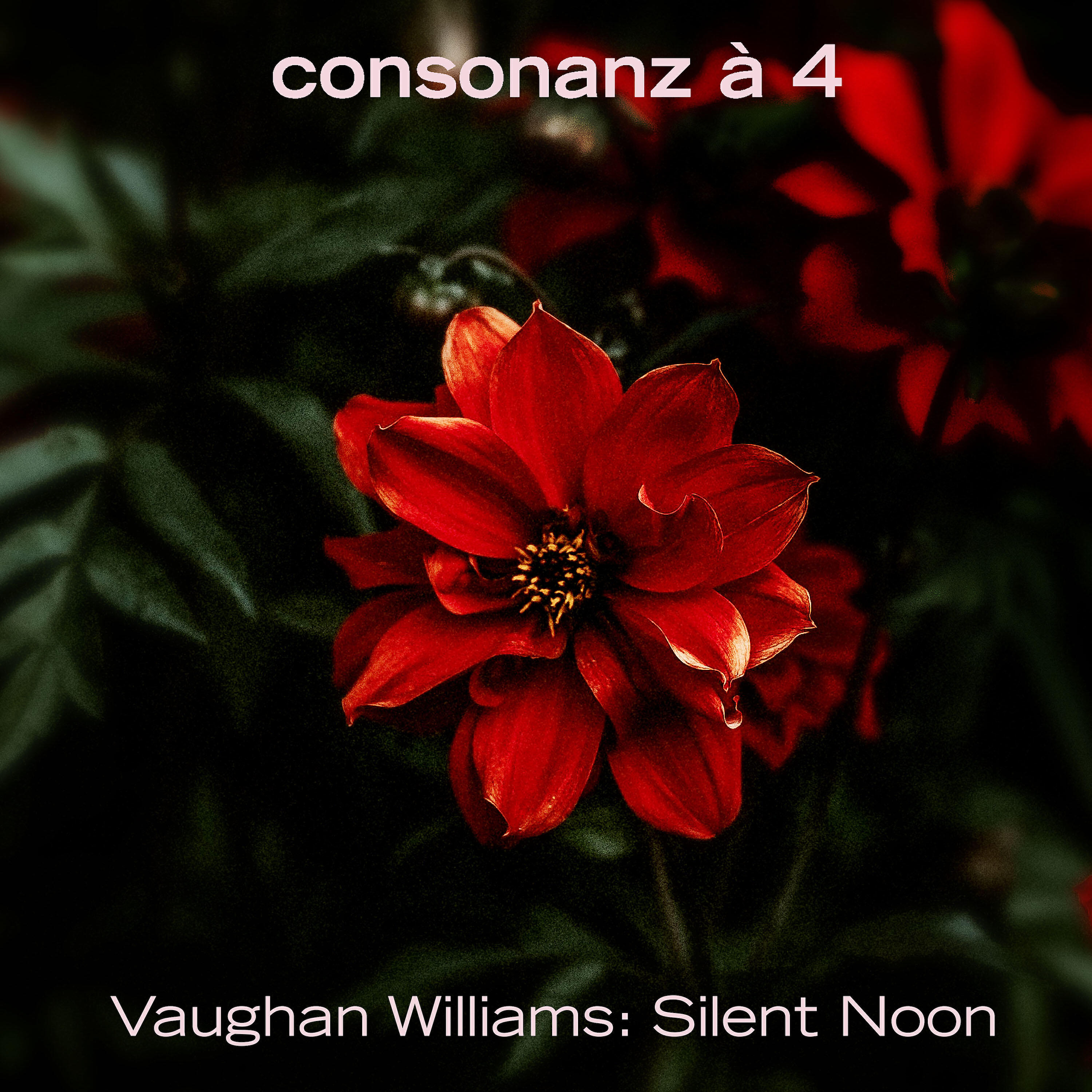 Релиз Silent Noon