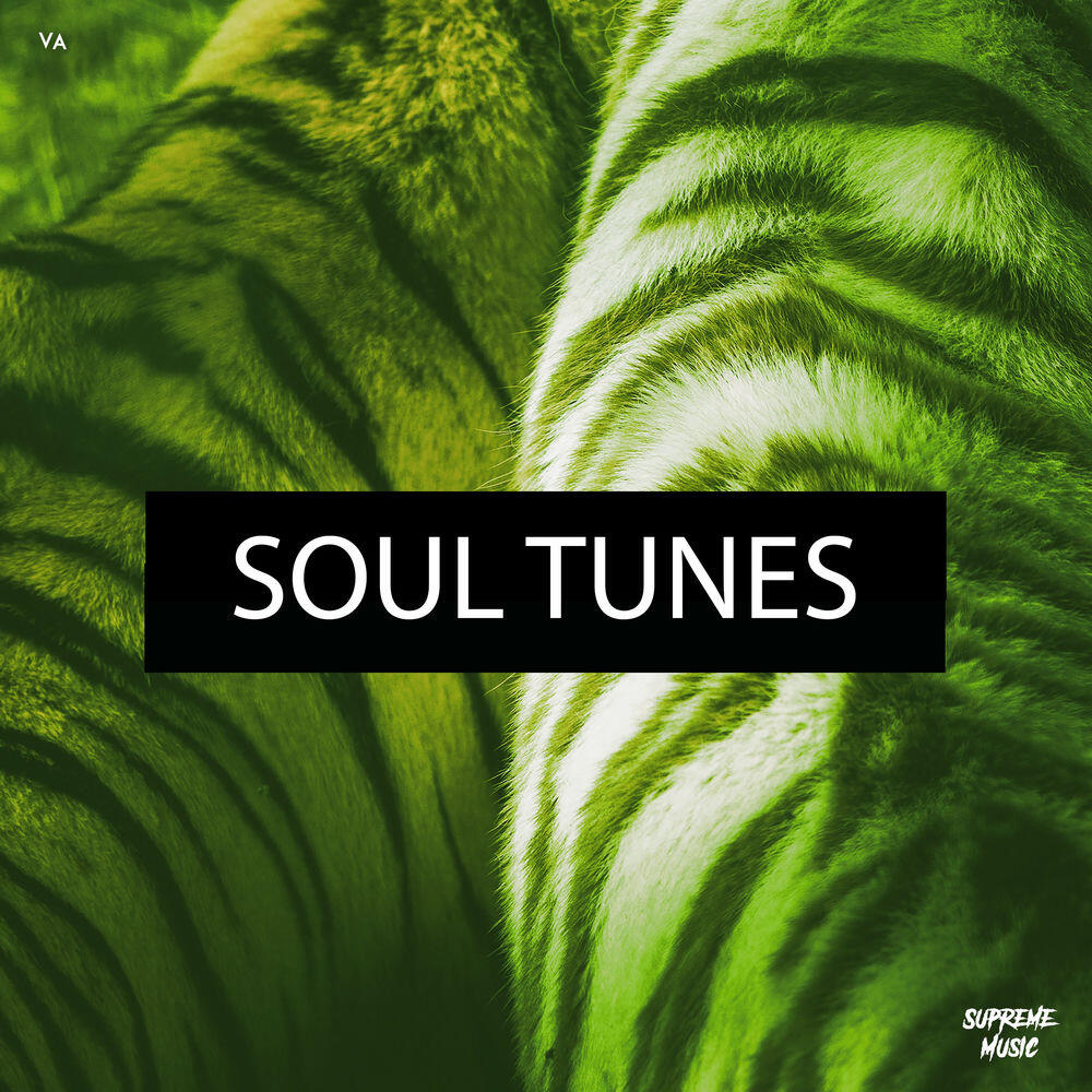 Релиз Soul Tunes