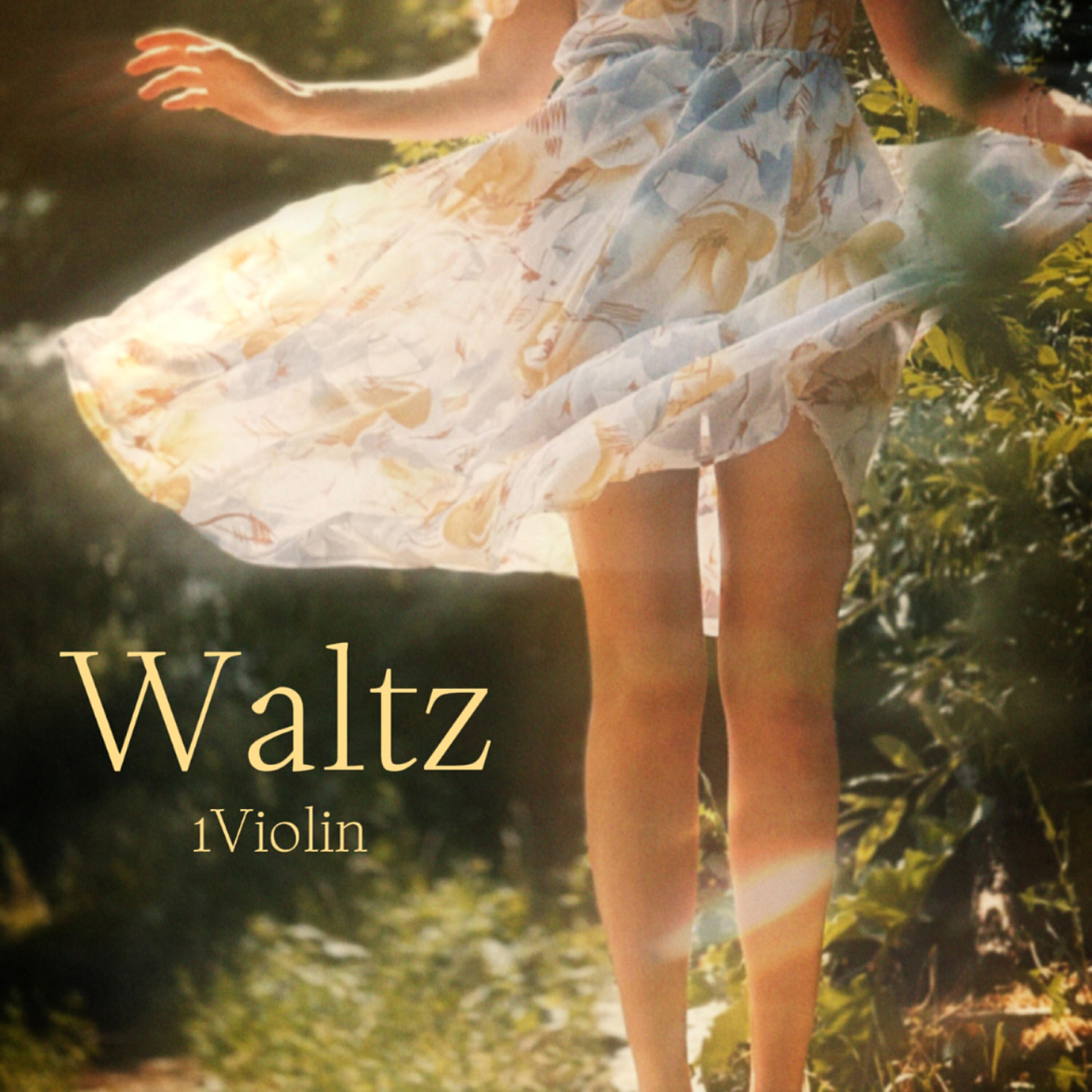 Релиз Waltz