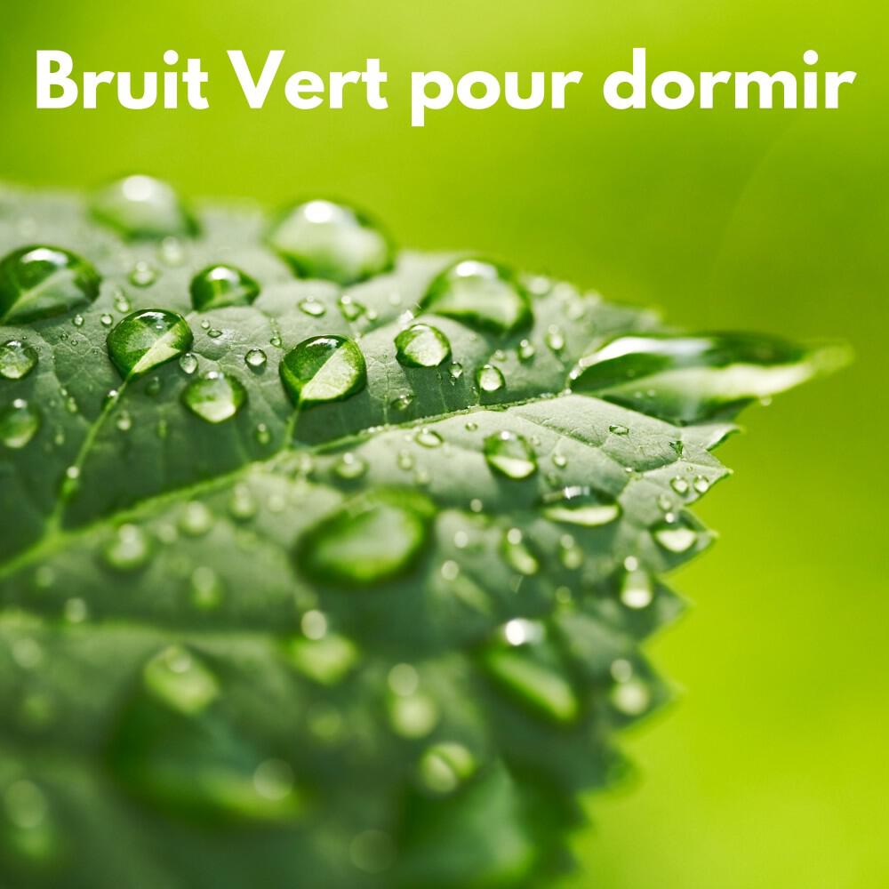 Релиз Bruit vert pour dormir (Bouclable)