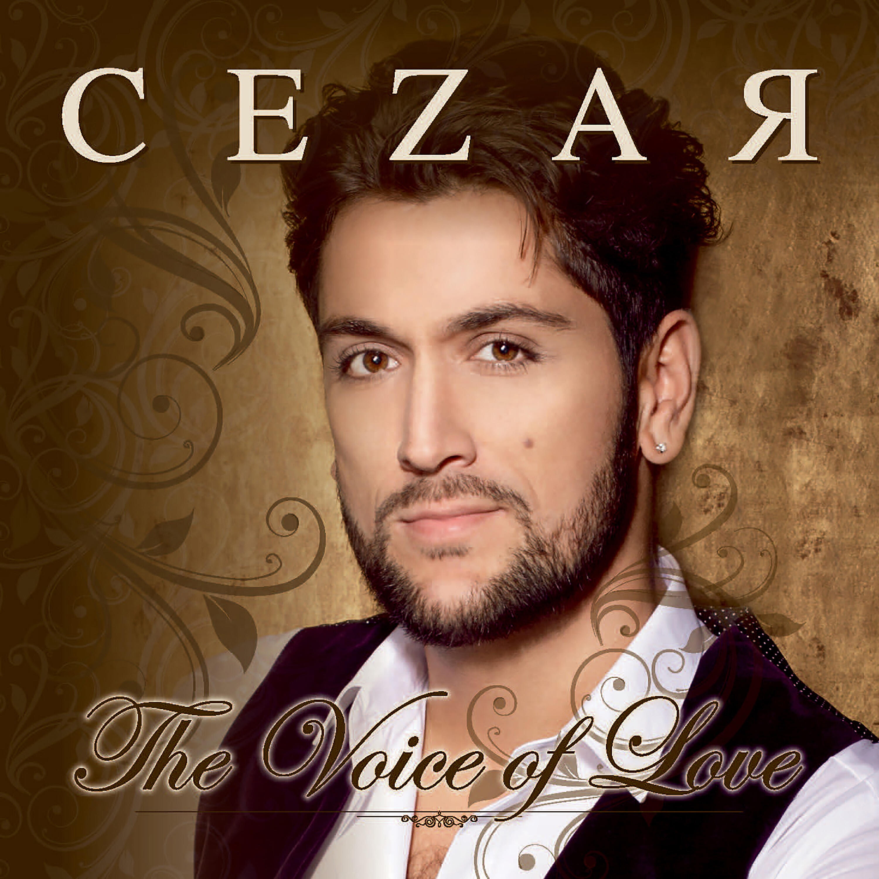 Релиз The Voice of Love