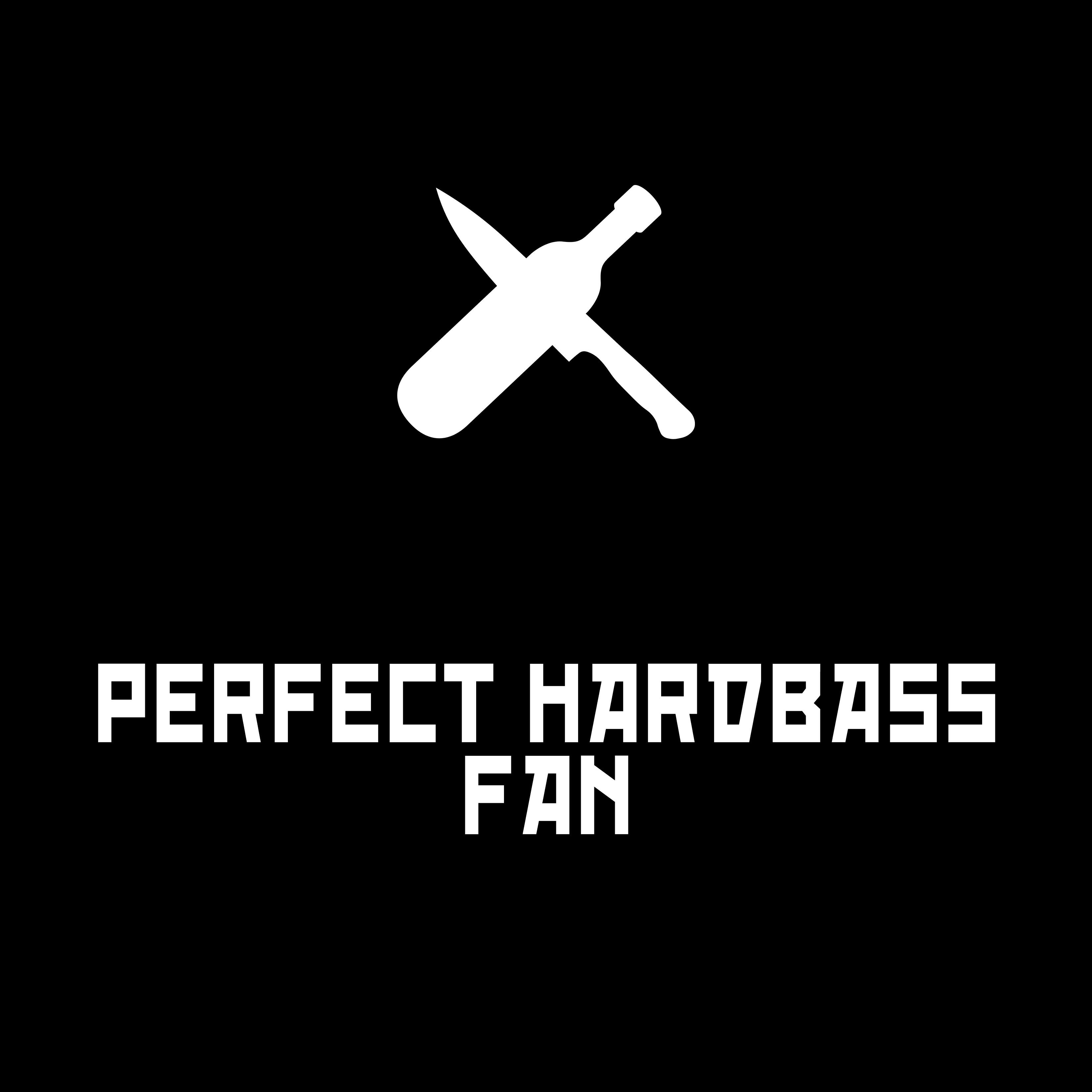 Релиз Perfect Hardbass Fan