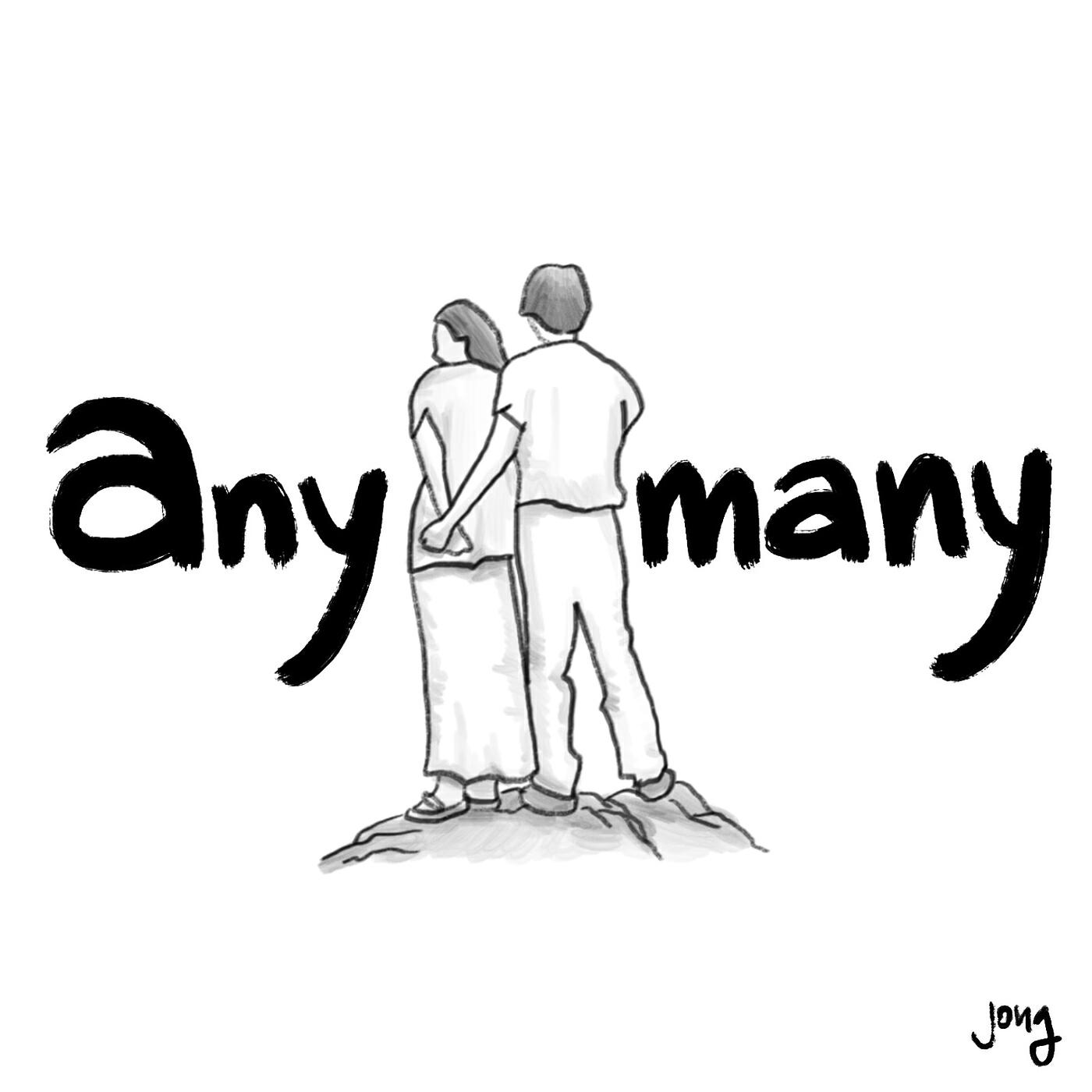 Релиз Anymany