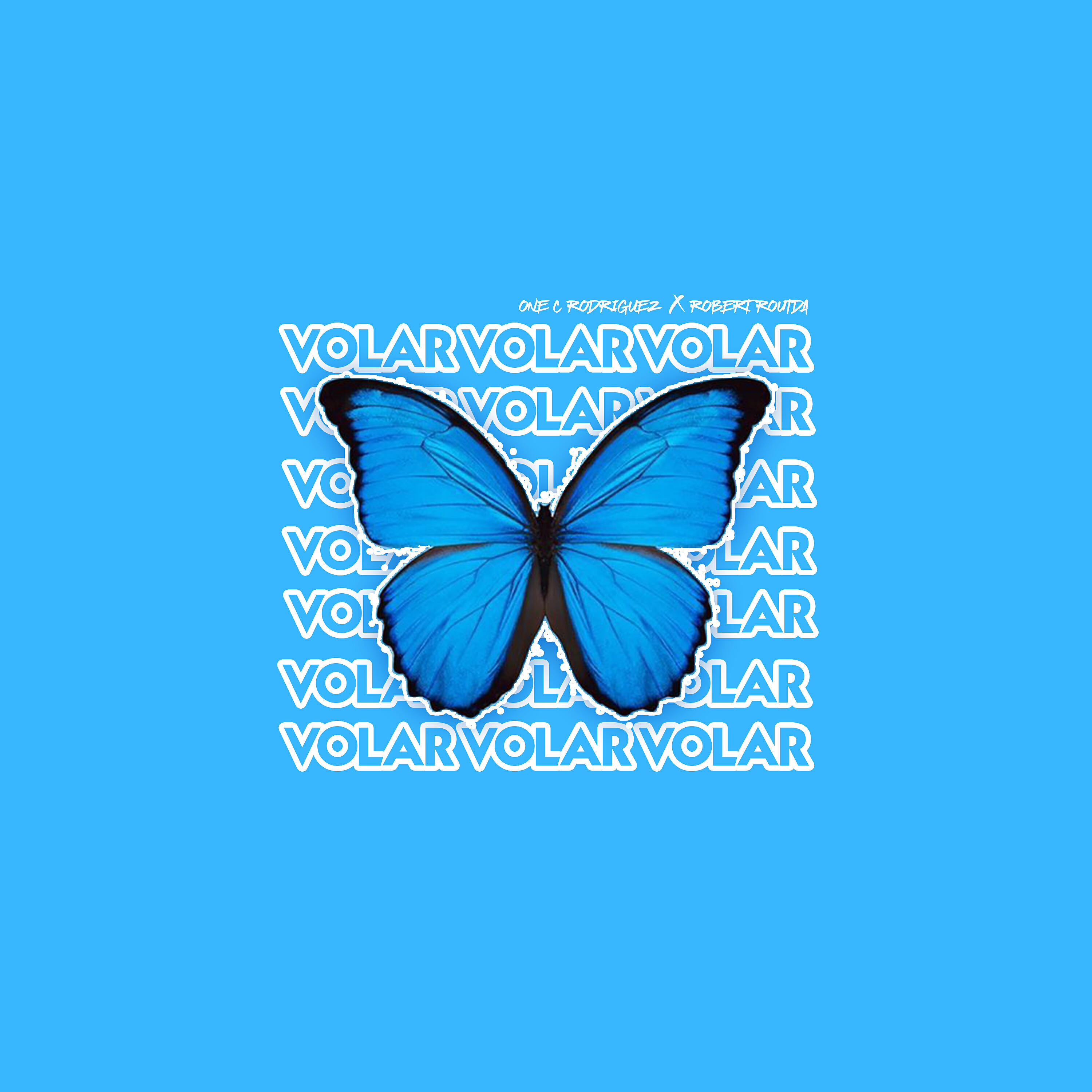 Релиз Volar