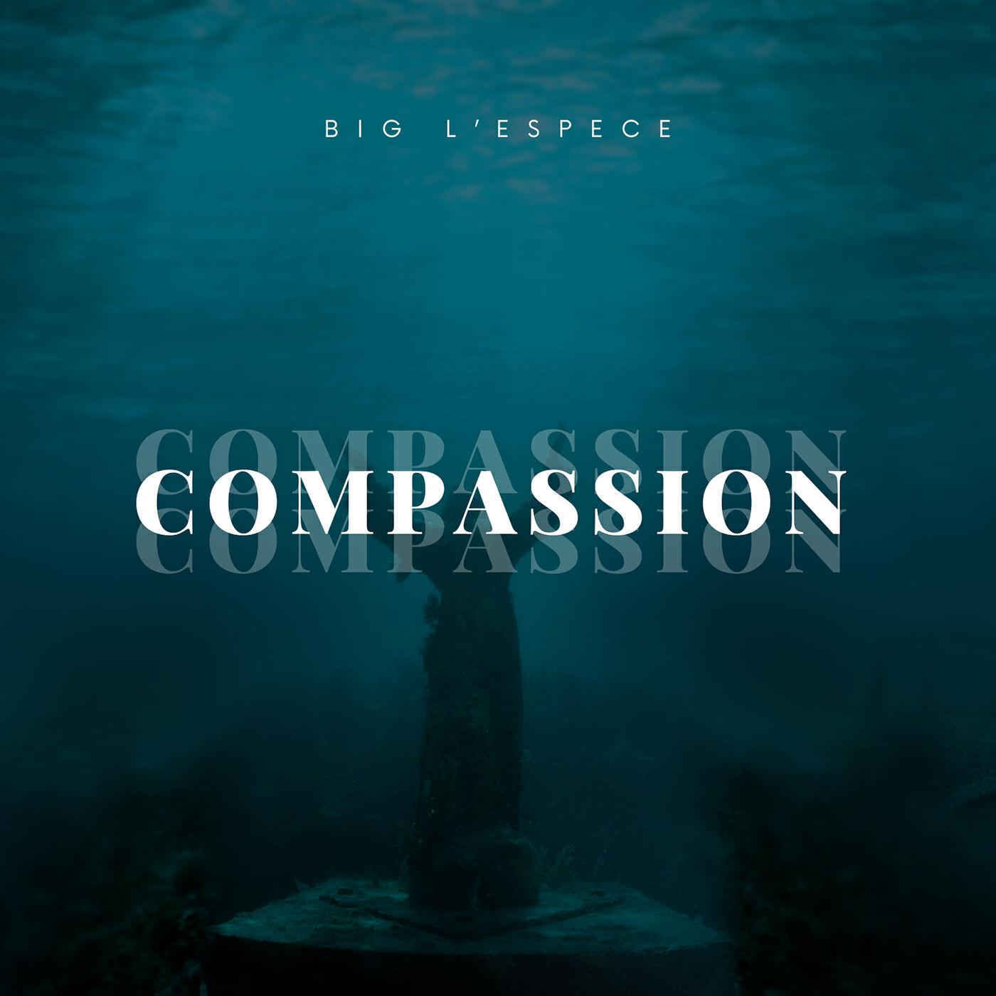 Релиз COMPASSION