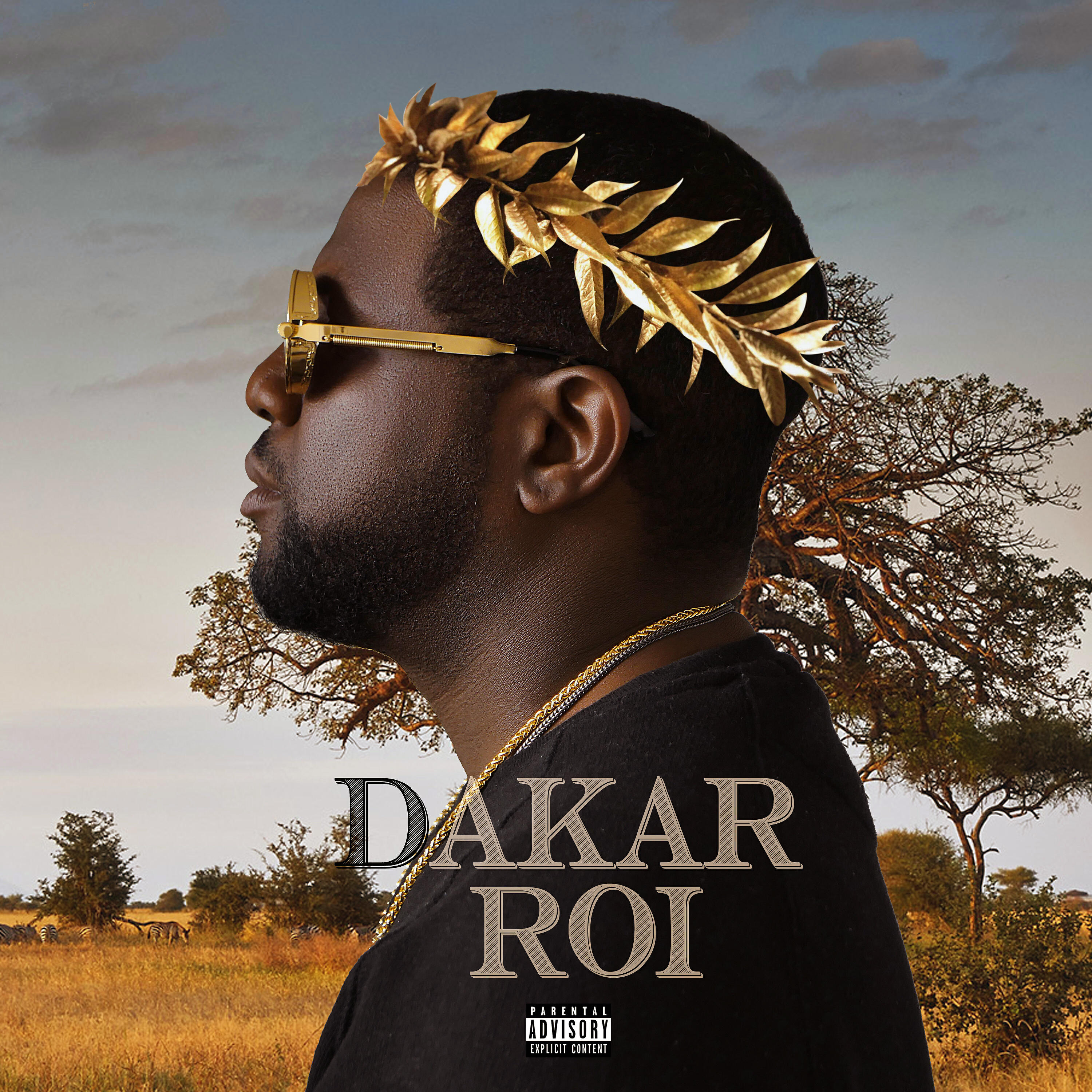 Релиз Dakar Roi