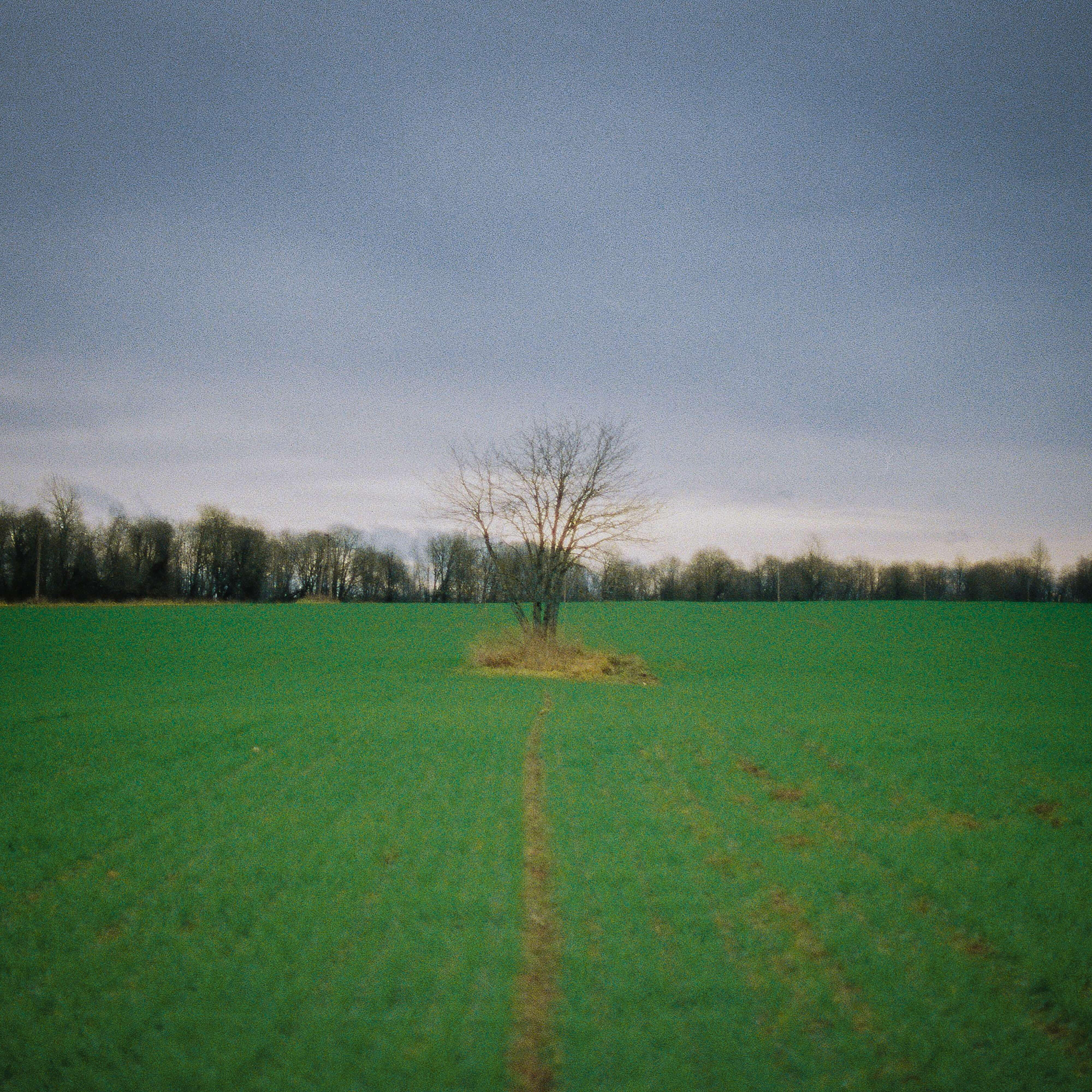 Релиз Repose
