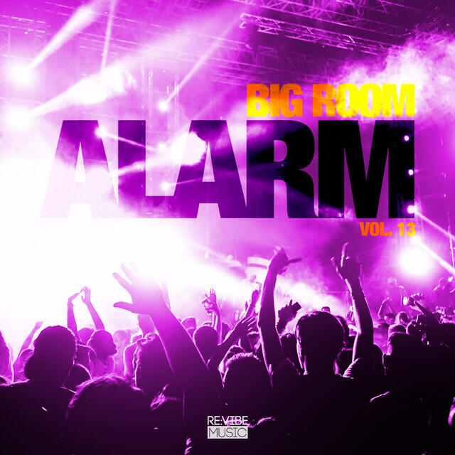 Релиз Big Room Alarm, Vol. 13