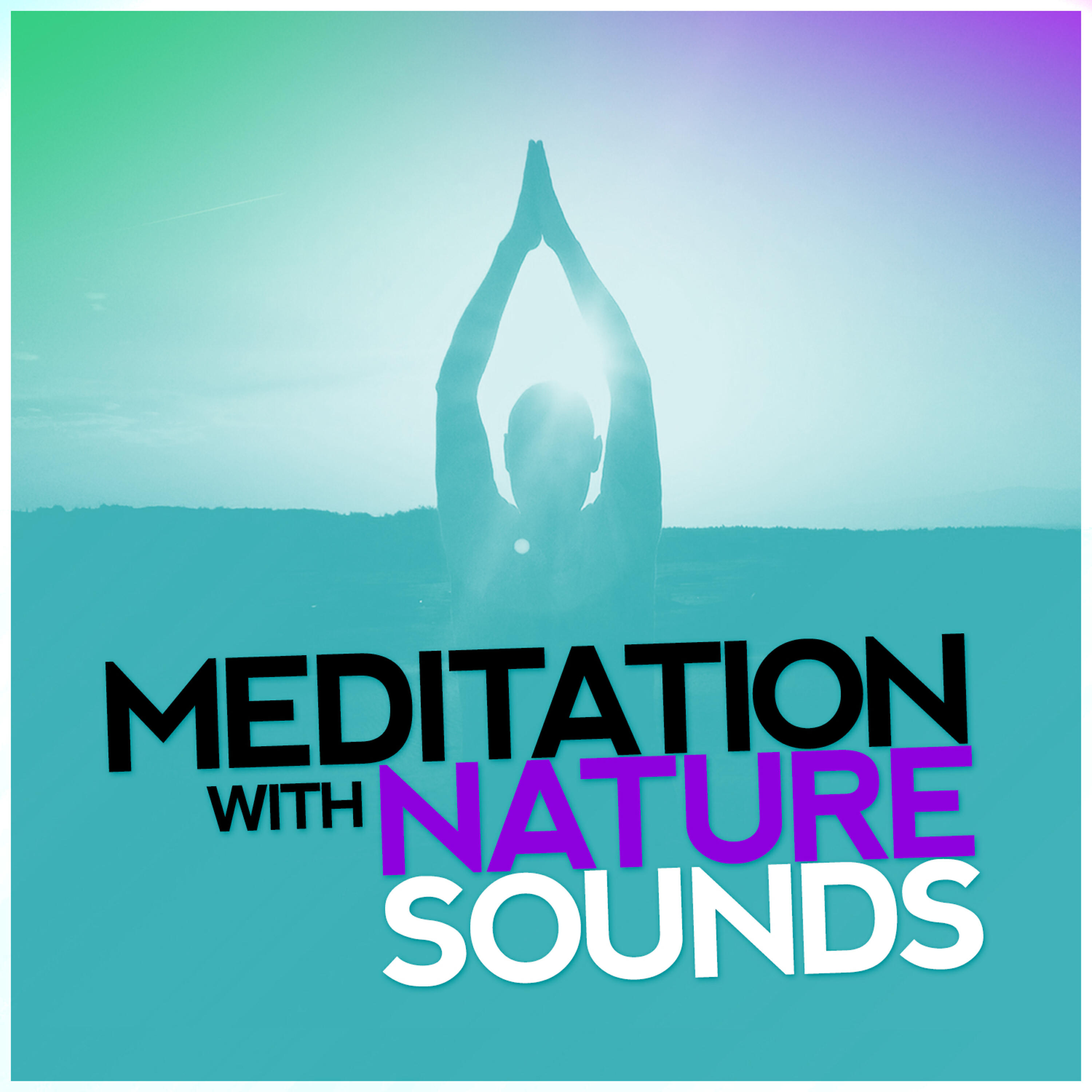 Релиз Meditation with Nature Sounds