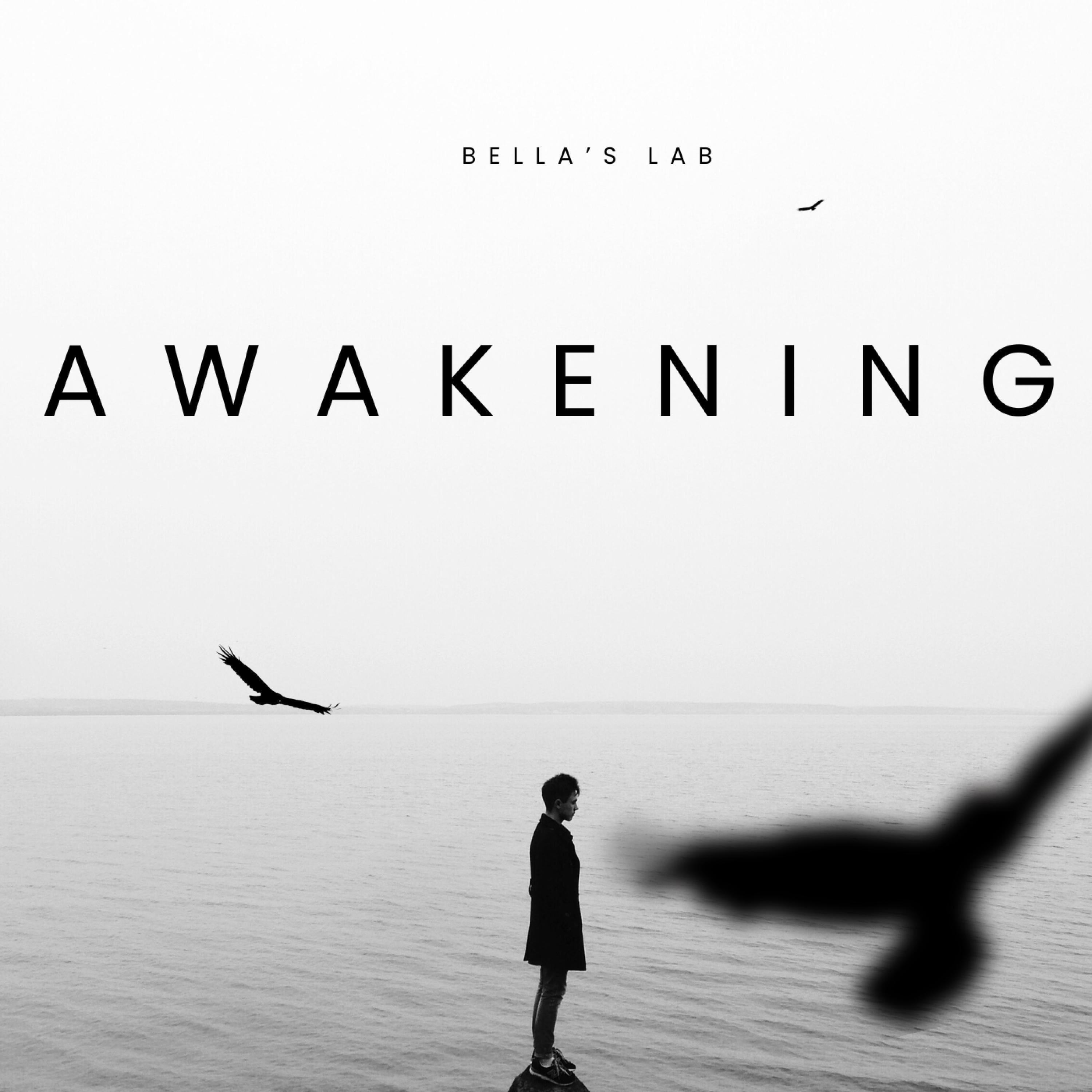 Релиз awakening