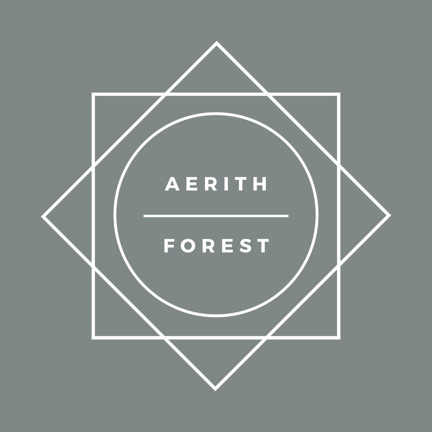 Релиз Forest