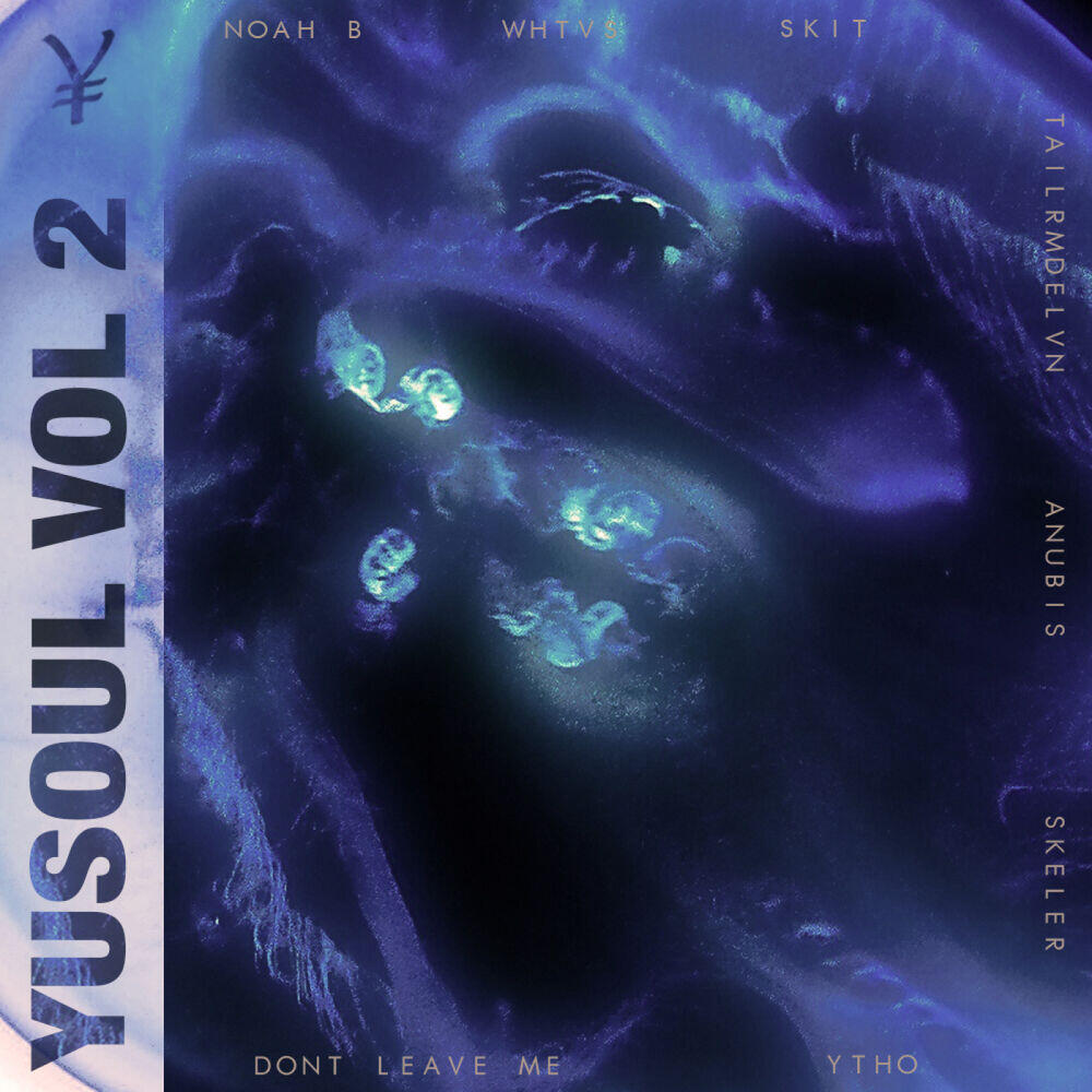 Релиз Yusoul Vol 2