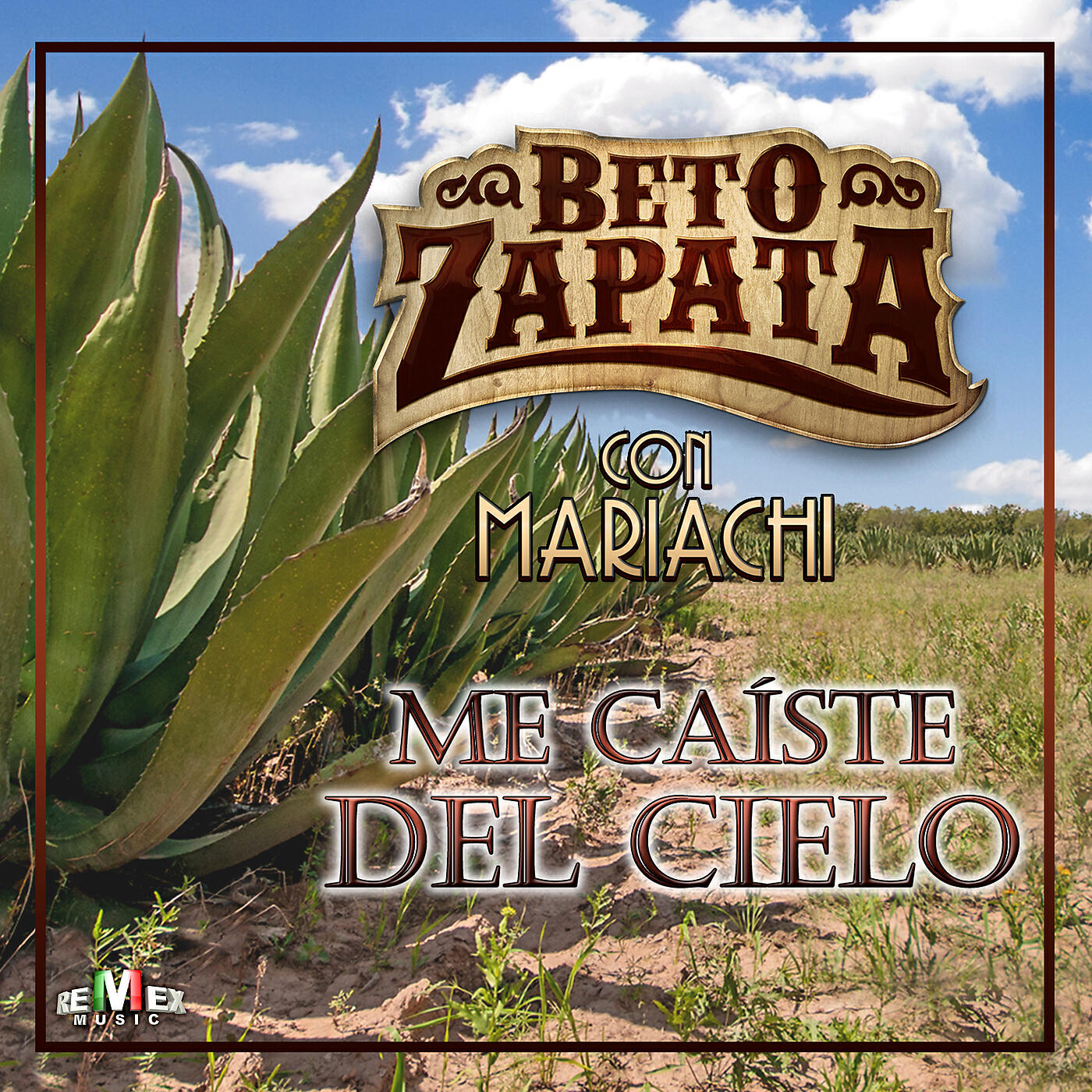 Релиз Me Caíste del Cielo