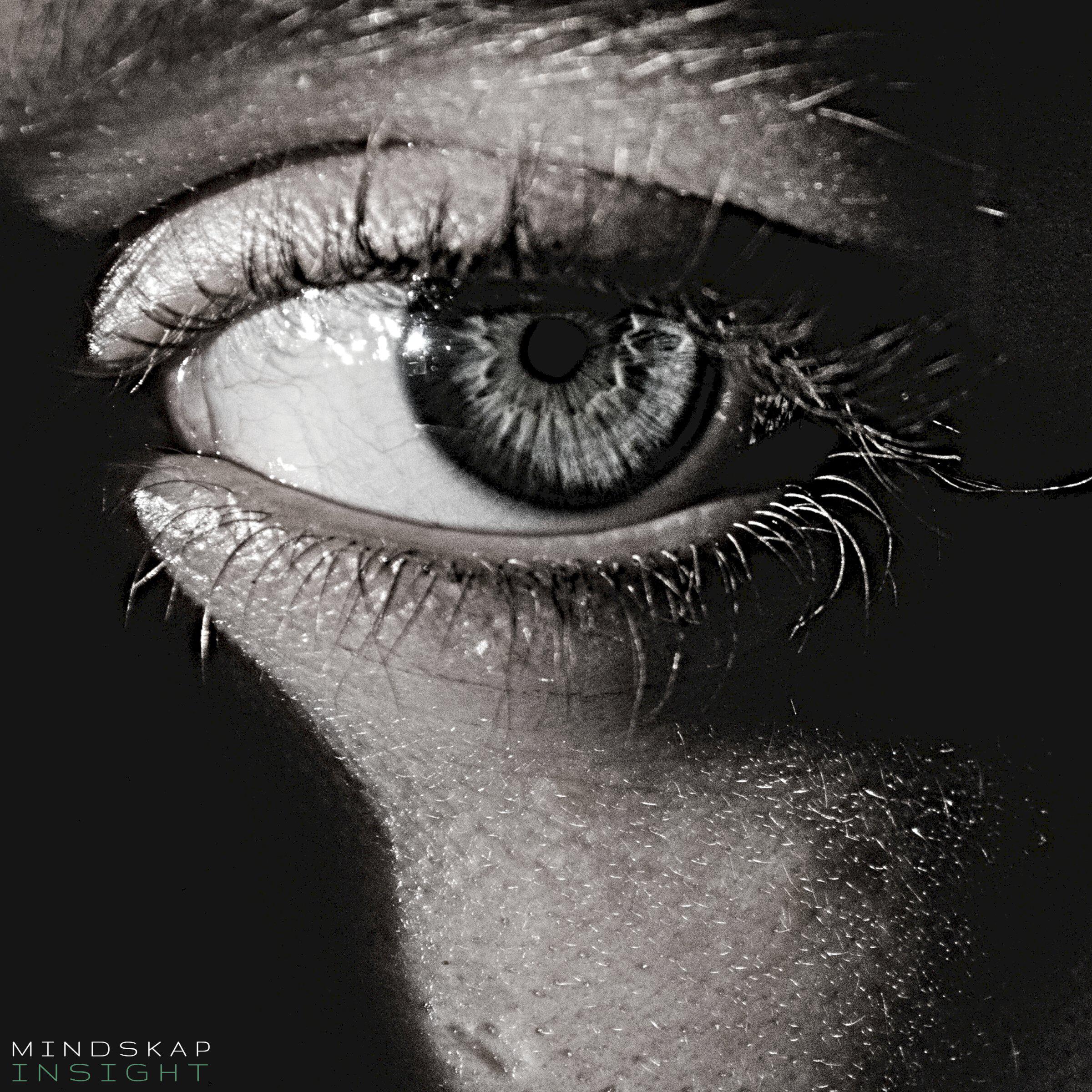 Релиз Insight
