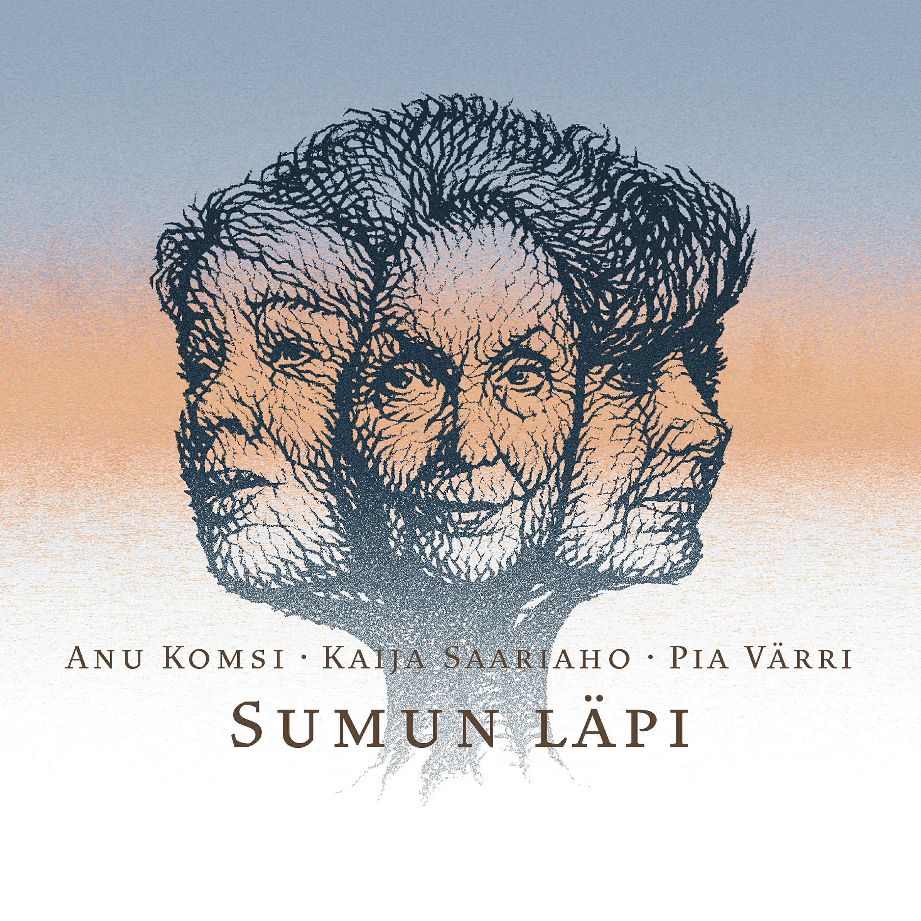 Постер альбома Sumun läpi